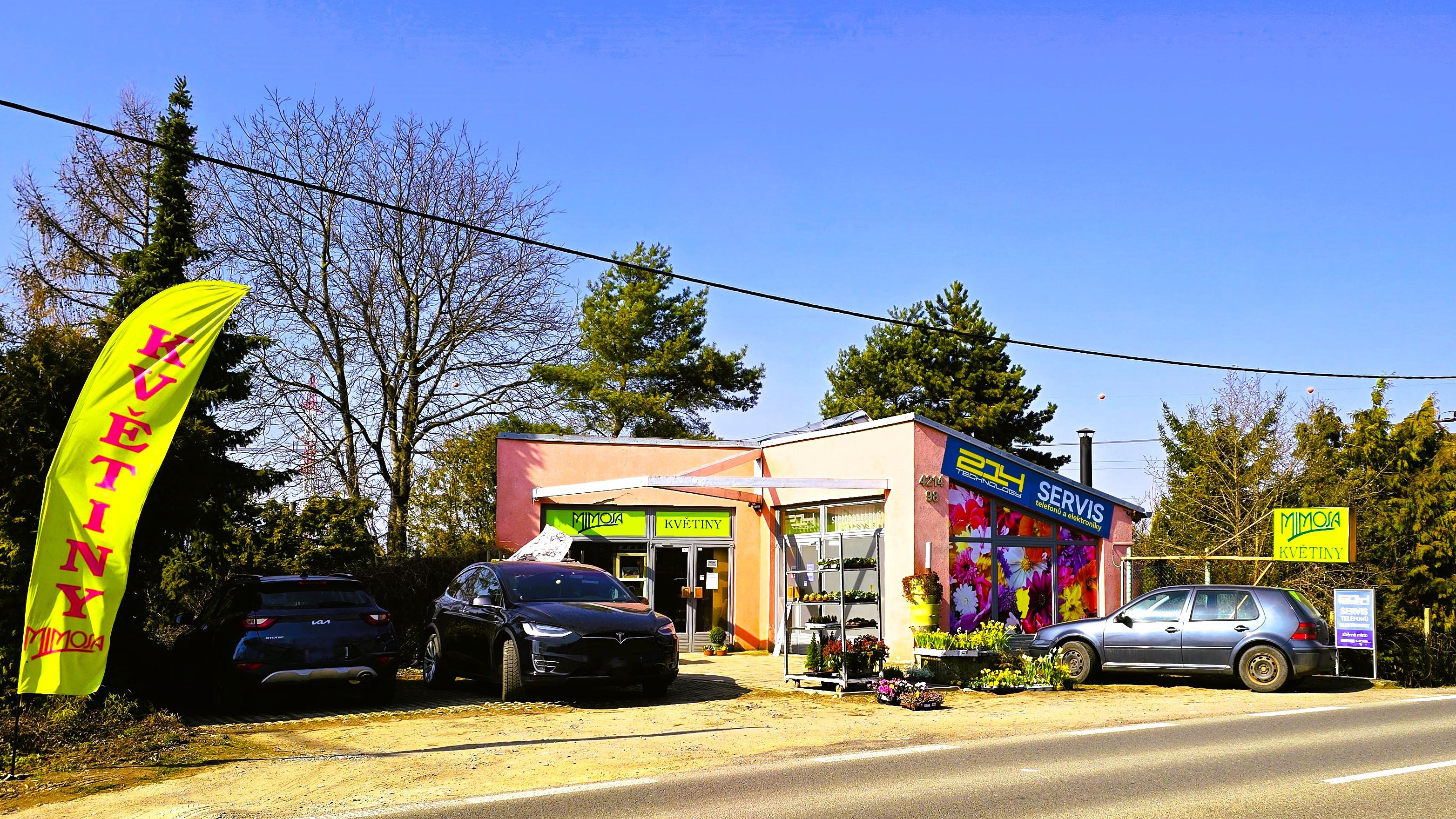 Mimosa květiny s. r. o. foto 3