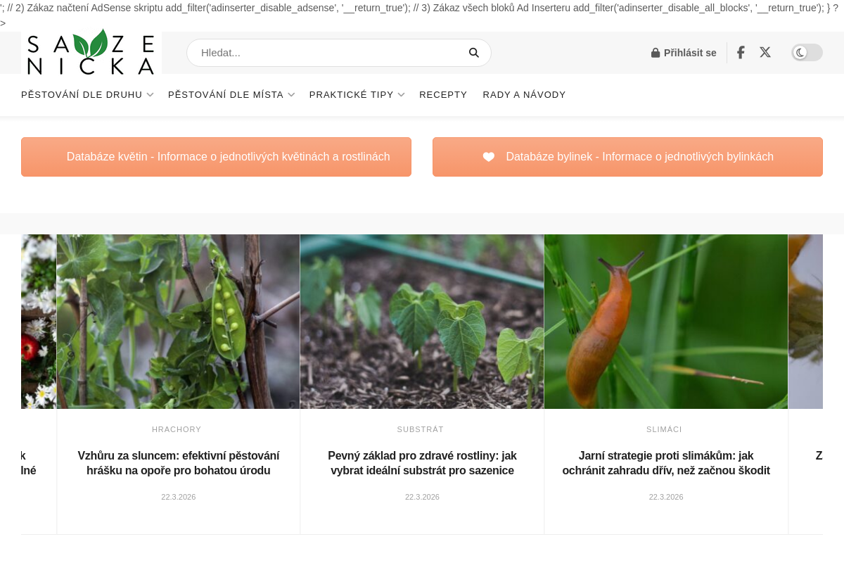 Sazenicka.cz foto 1