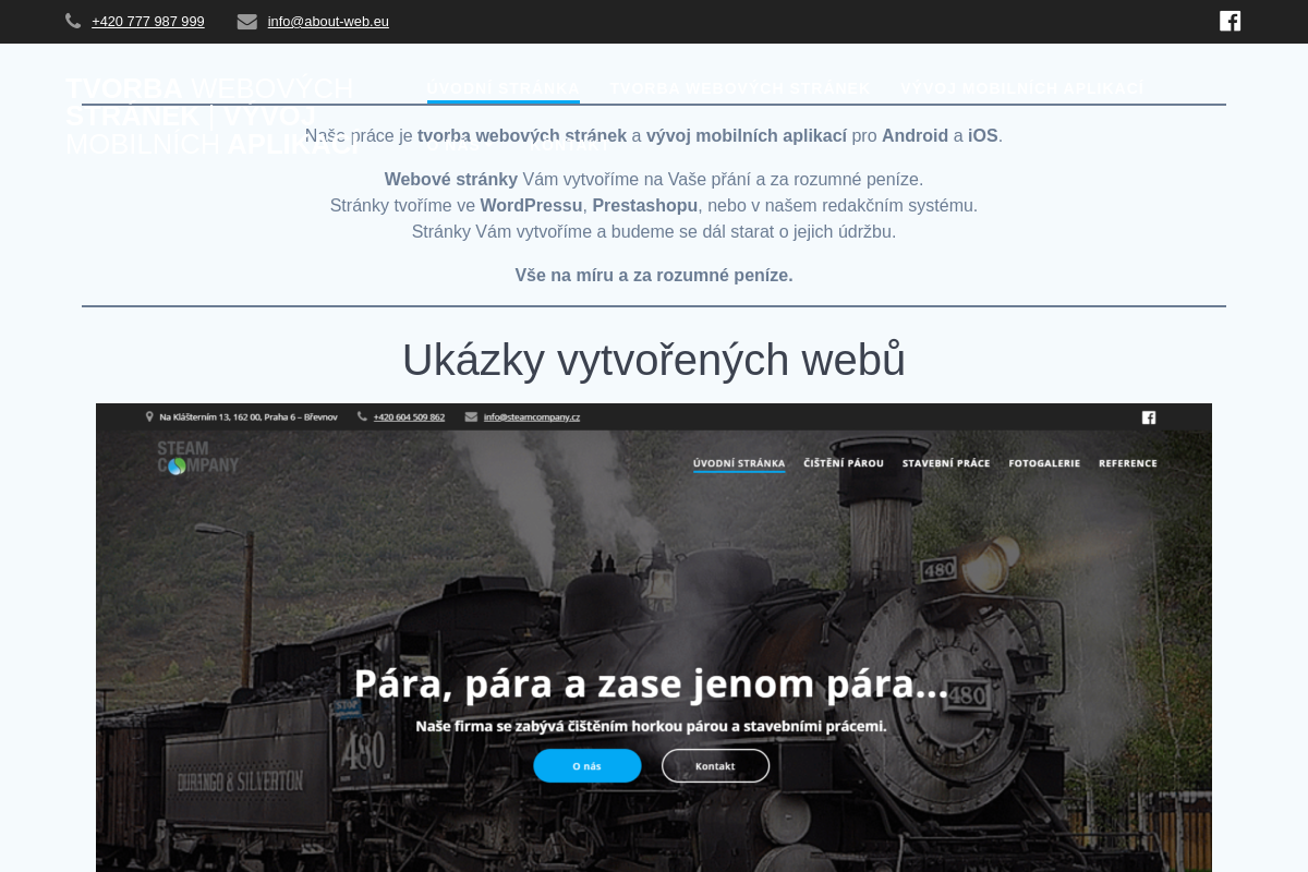 Václav Janeček - Tvorba webových stránek