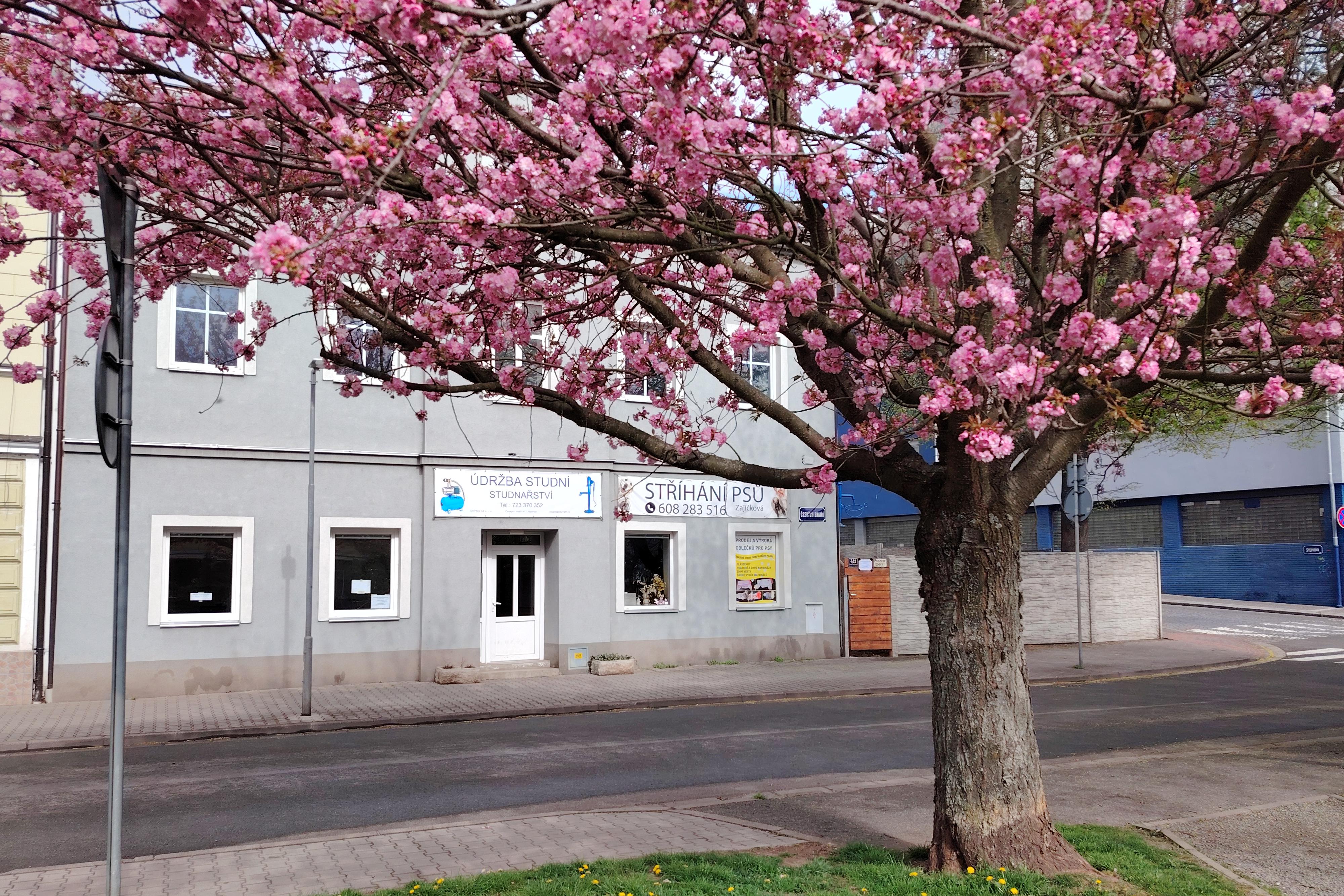 STUDNAŘSTVÍ Němeček