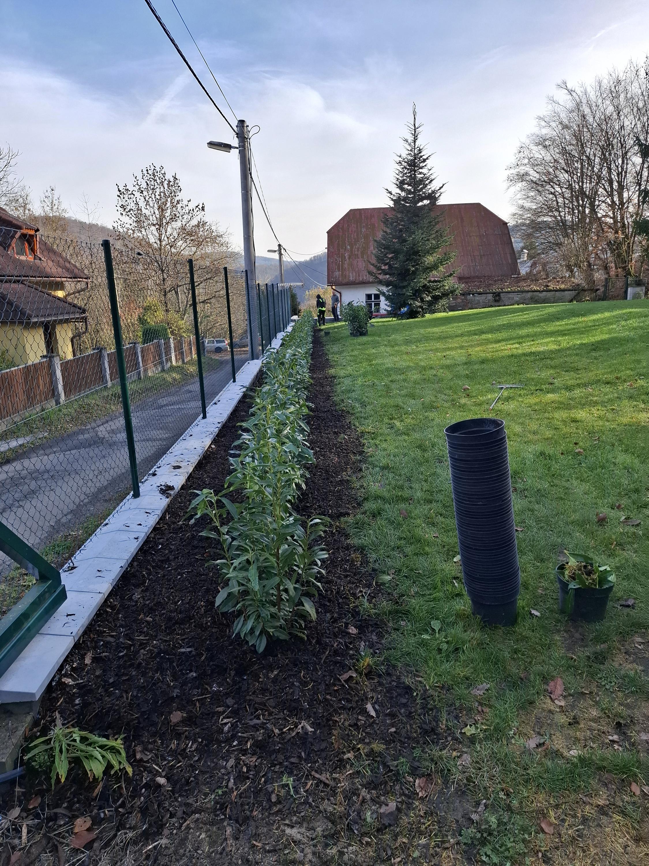 Zahradnické a Zemní práce Lukáš Sieja foto 4