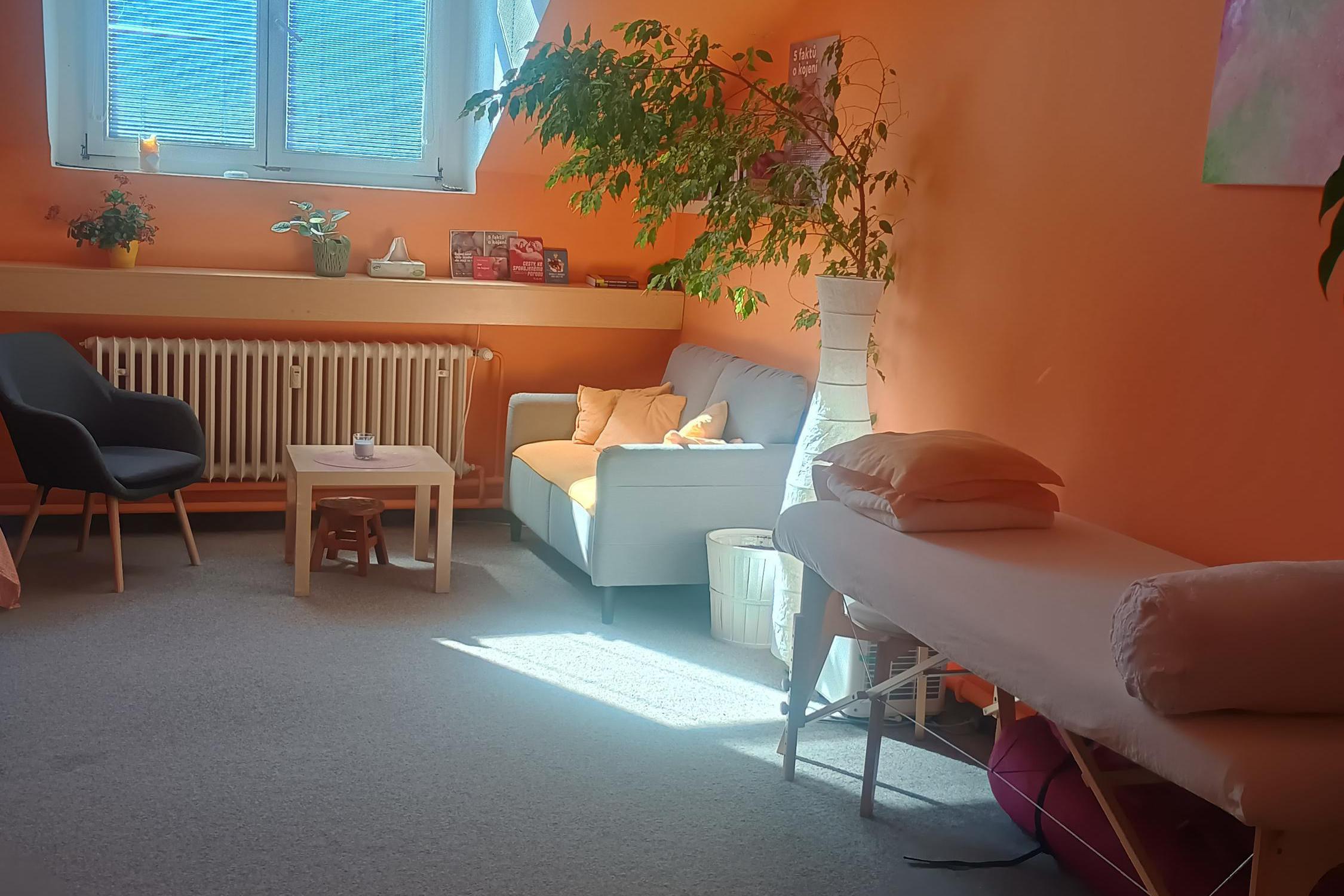 Andrea Růžičková dula a laktační poradkyně