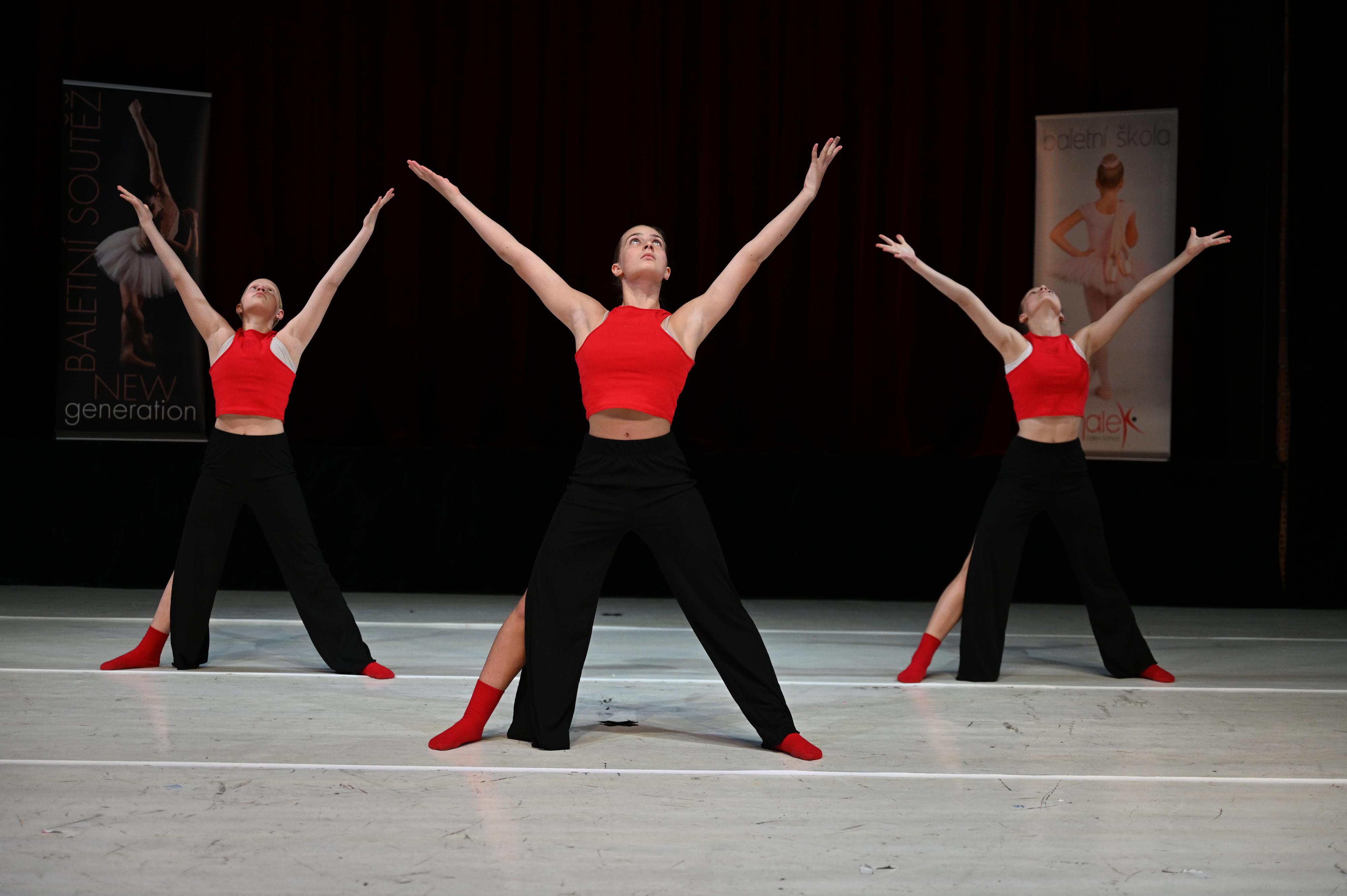 Malex ballet school baletní škola při divadle F.X.Šaldy foto 4