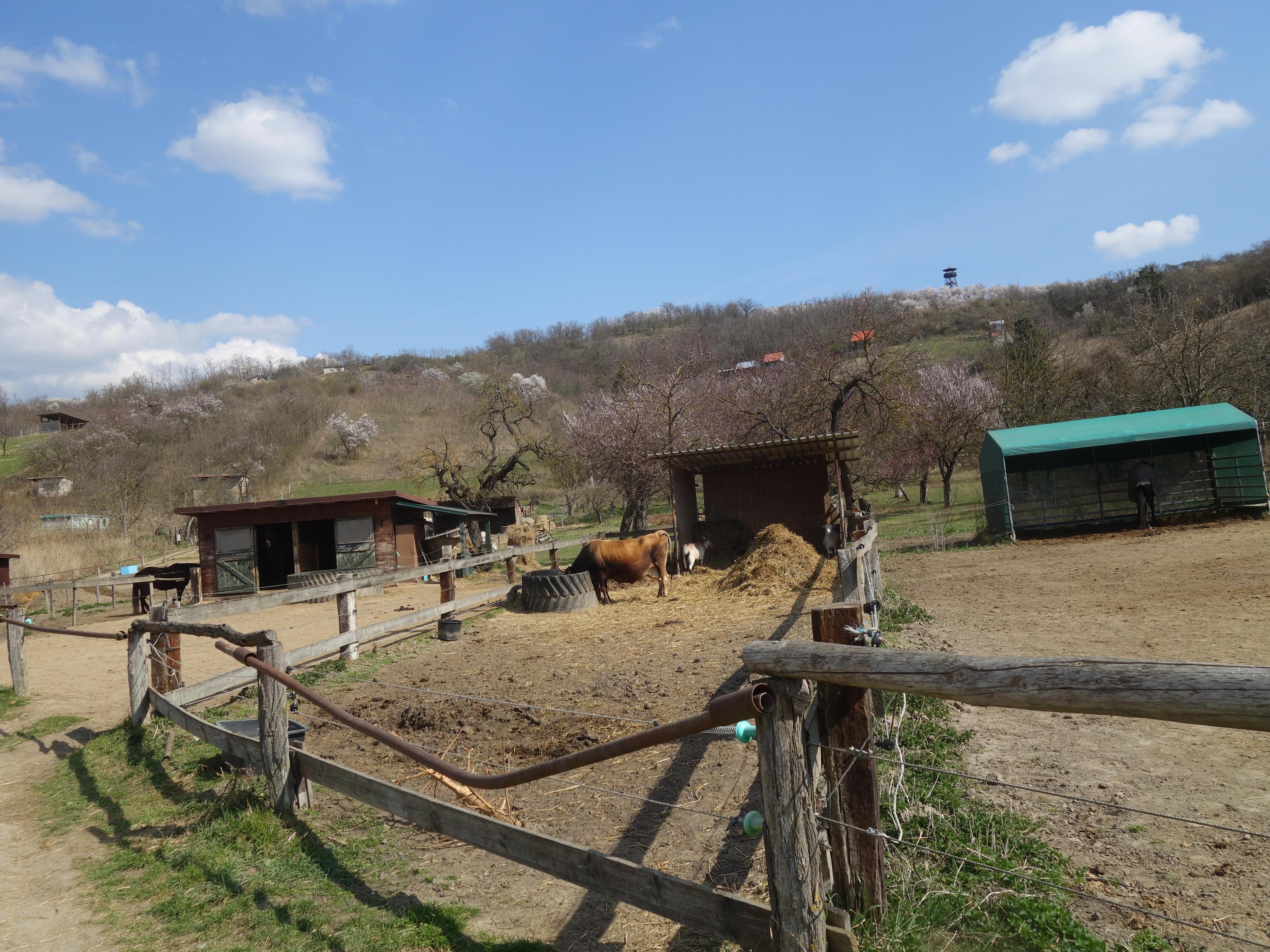 Ranč Valkýra foto 6