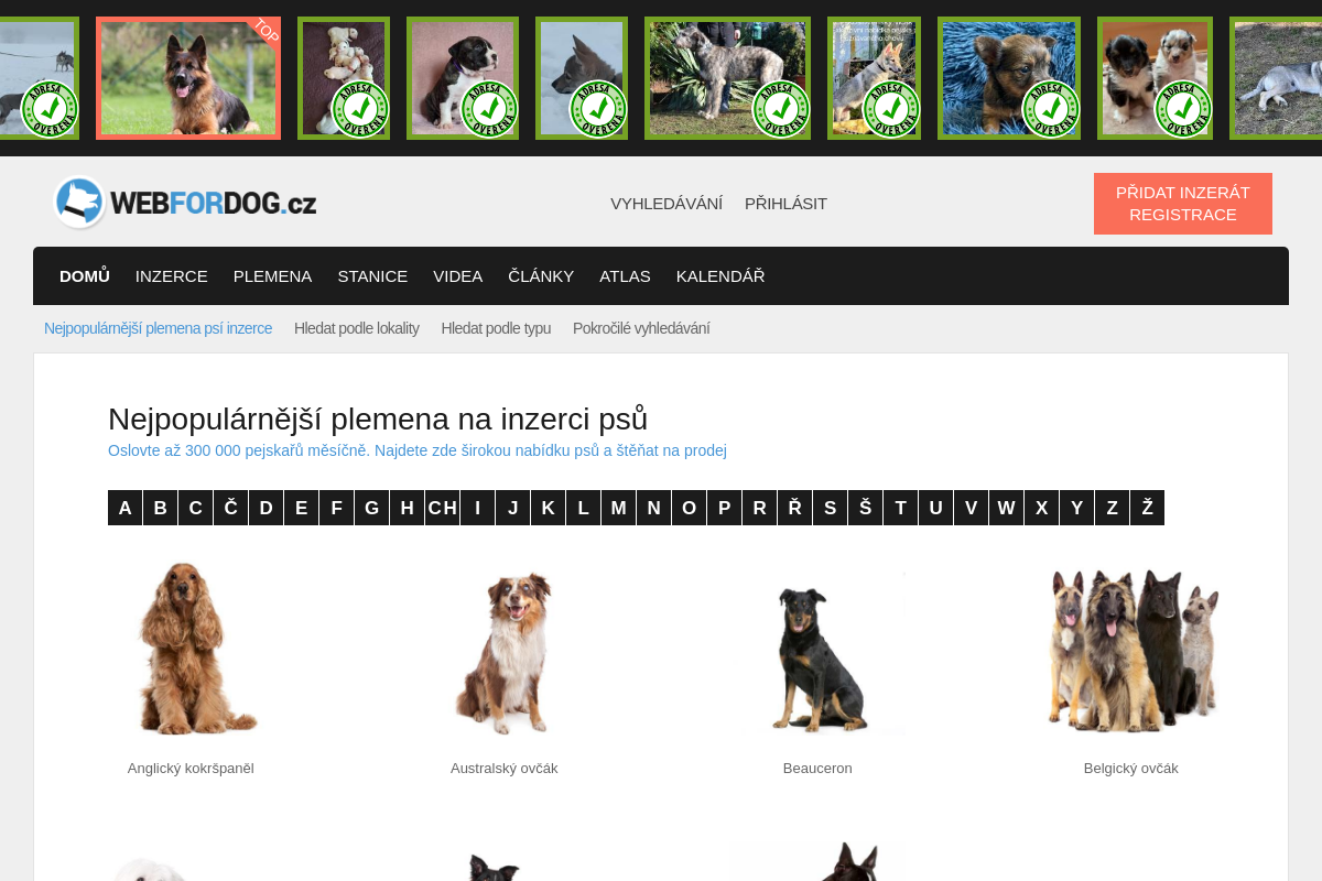 WEBFORDOG.cz