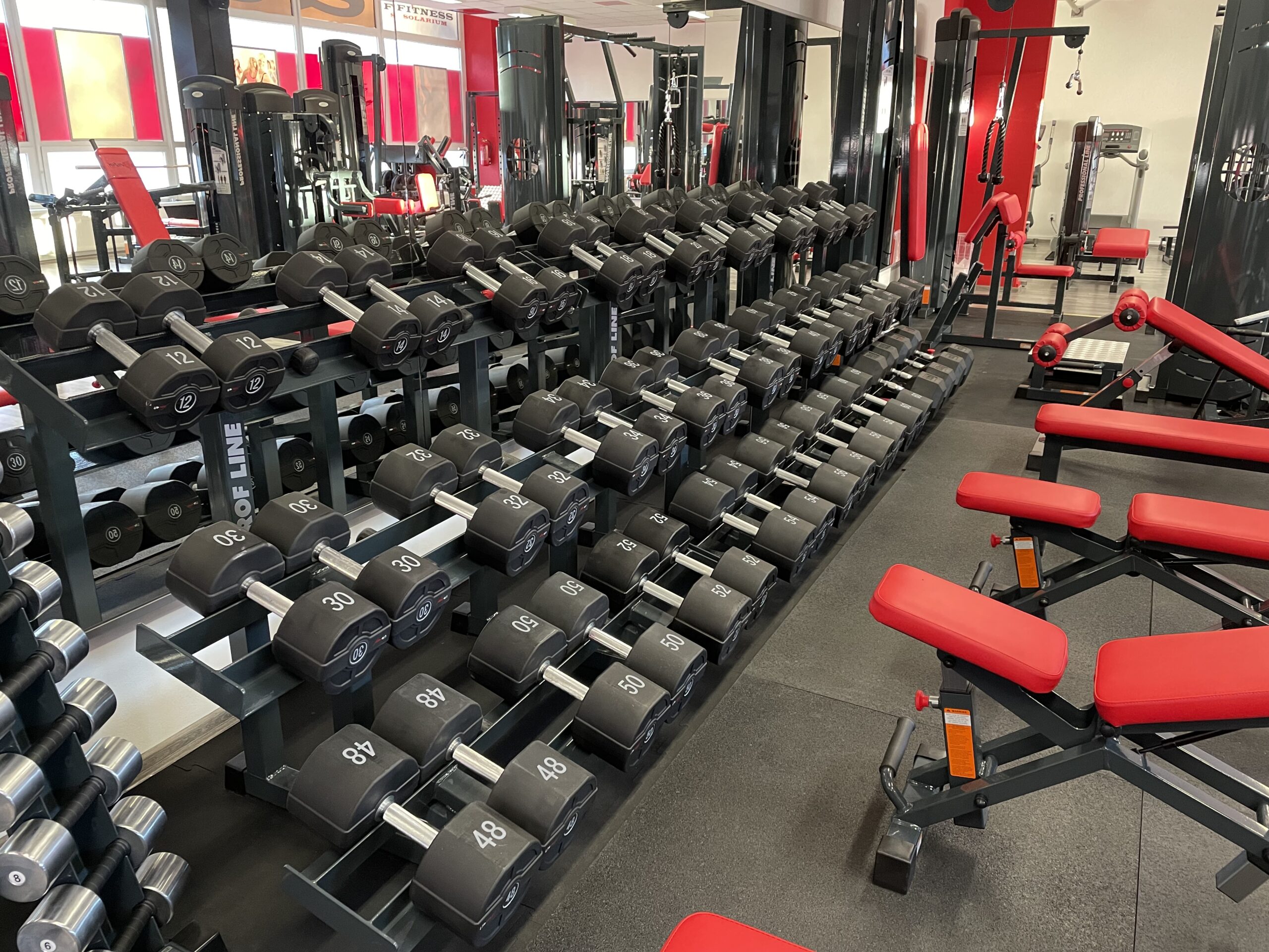 EVOLUTION FITNESS foto 4