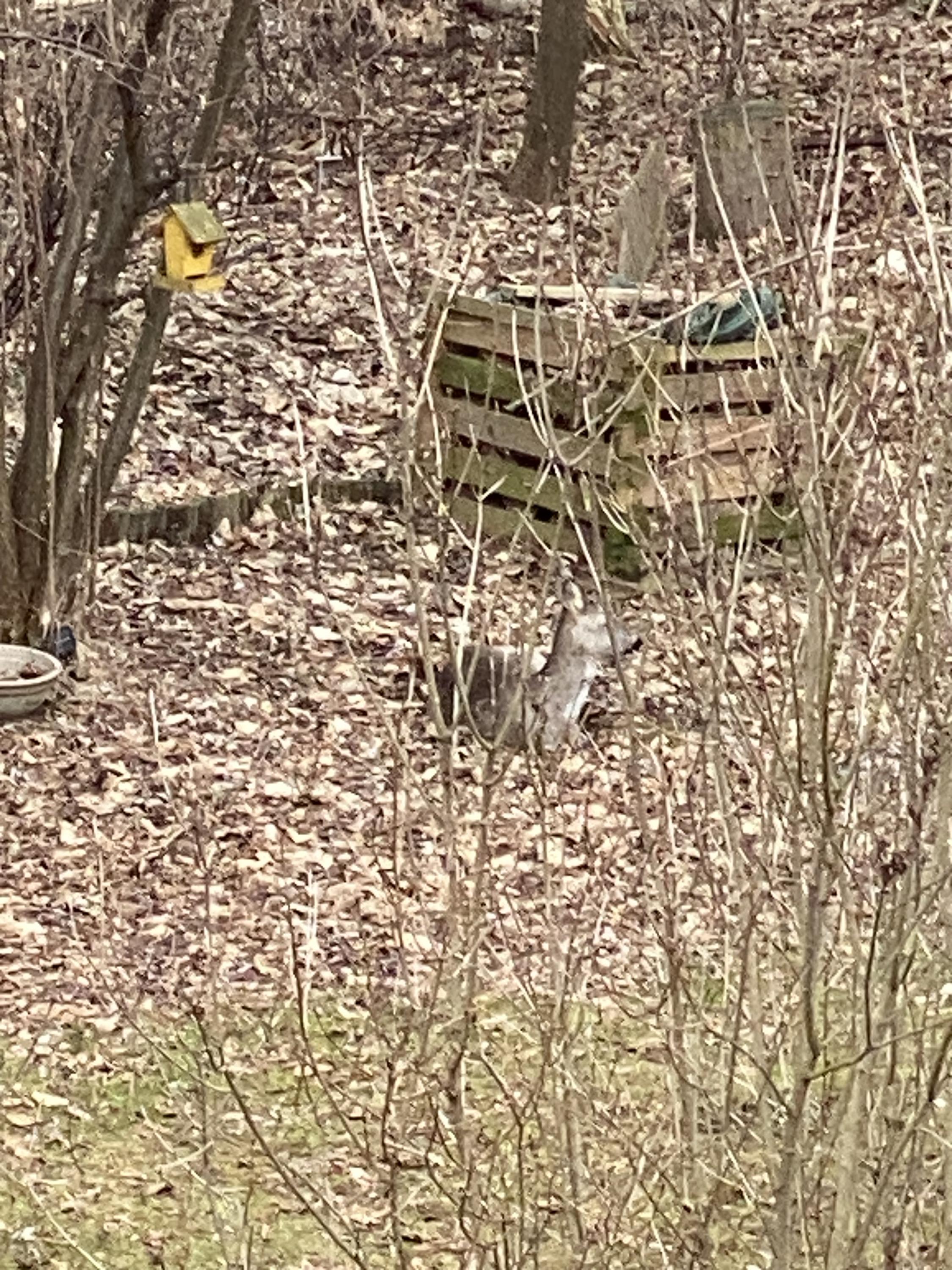 Logopedická ambulance Centrum řeči s.r.o. foto 3
