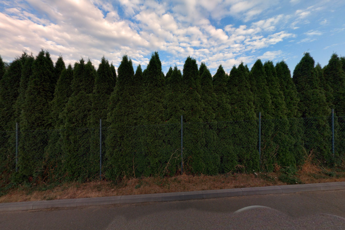 Zahrádka na Salaši