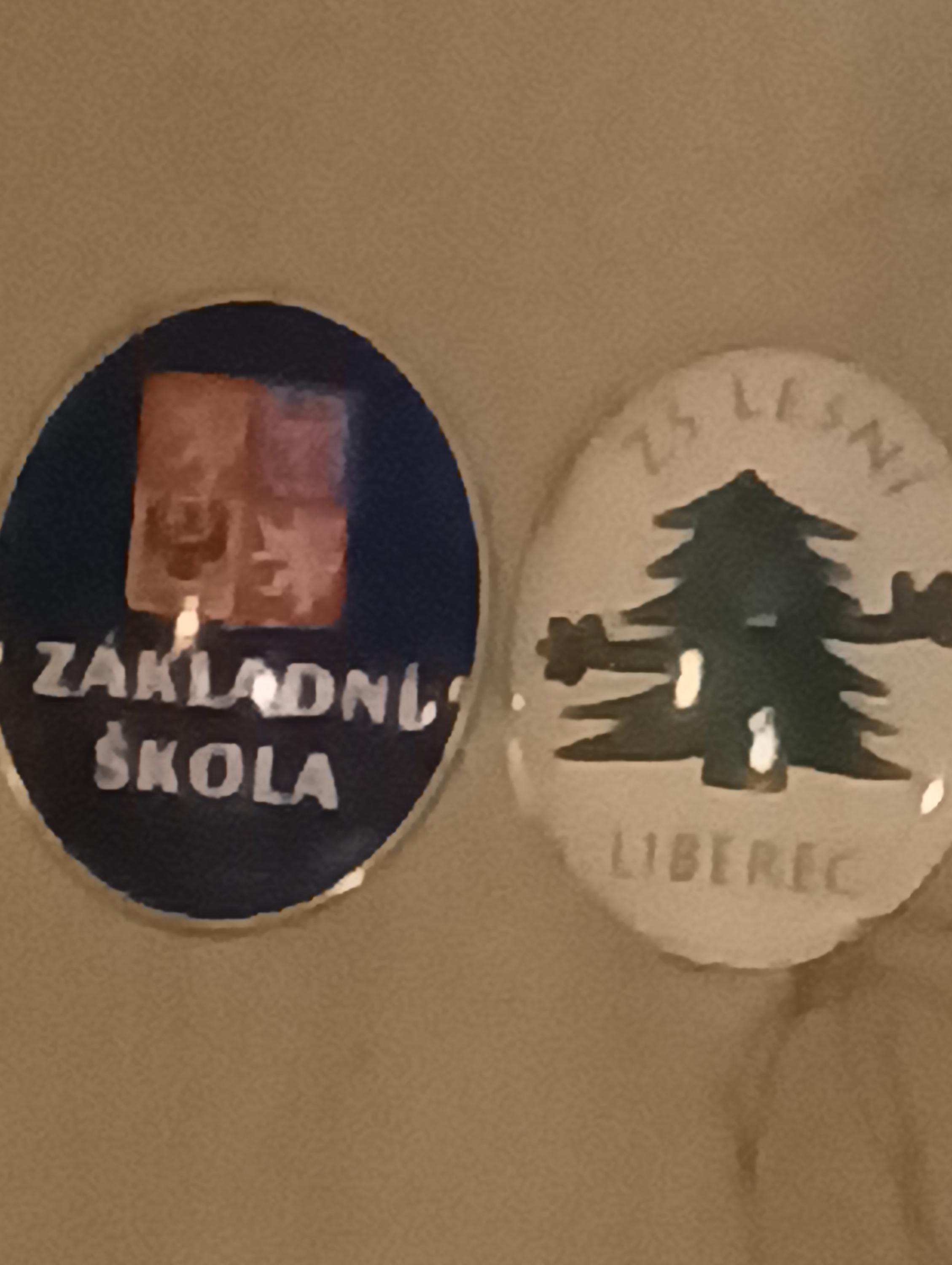 ZŠ Liberec, Lesní