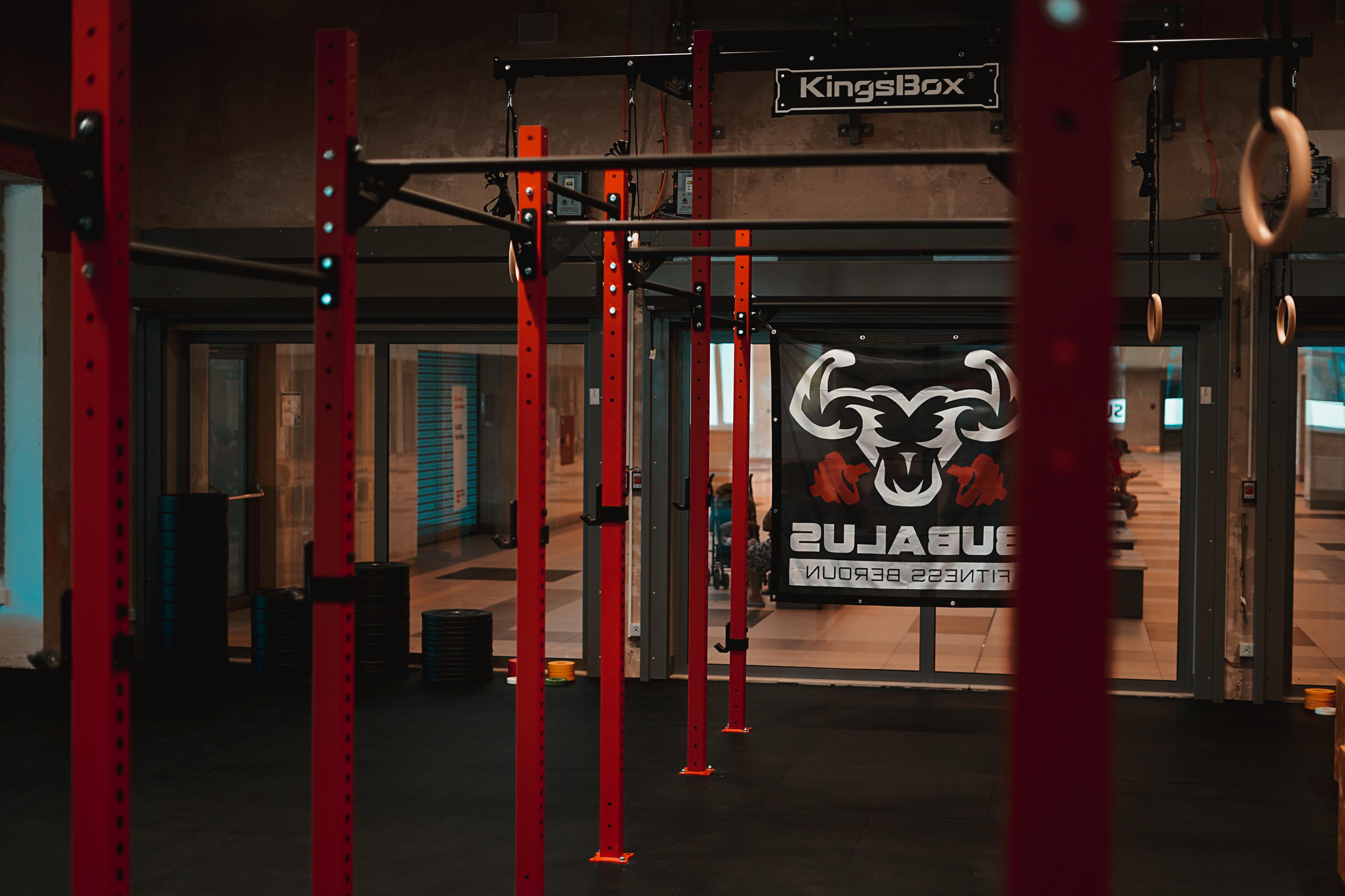 BUBALUS FITNESS BEROUN