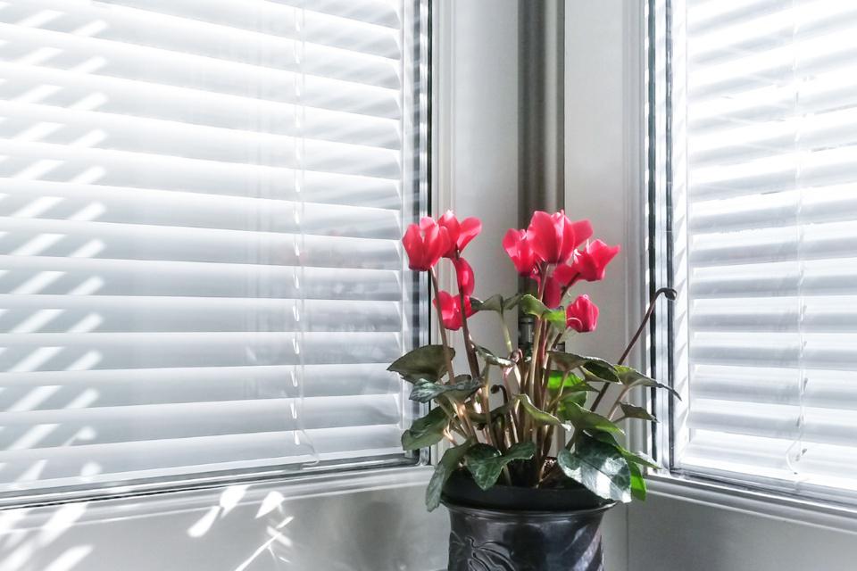 Horizontální žaluzie s montáží