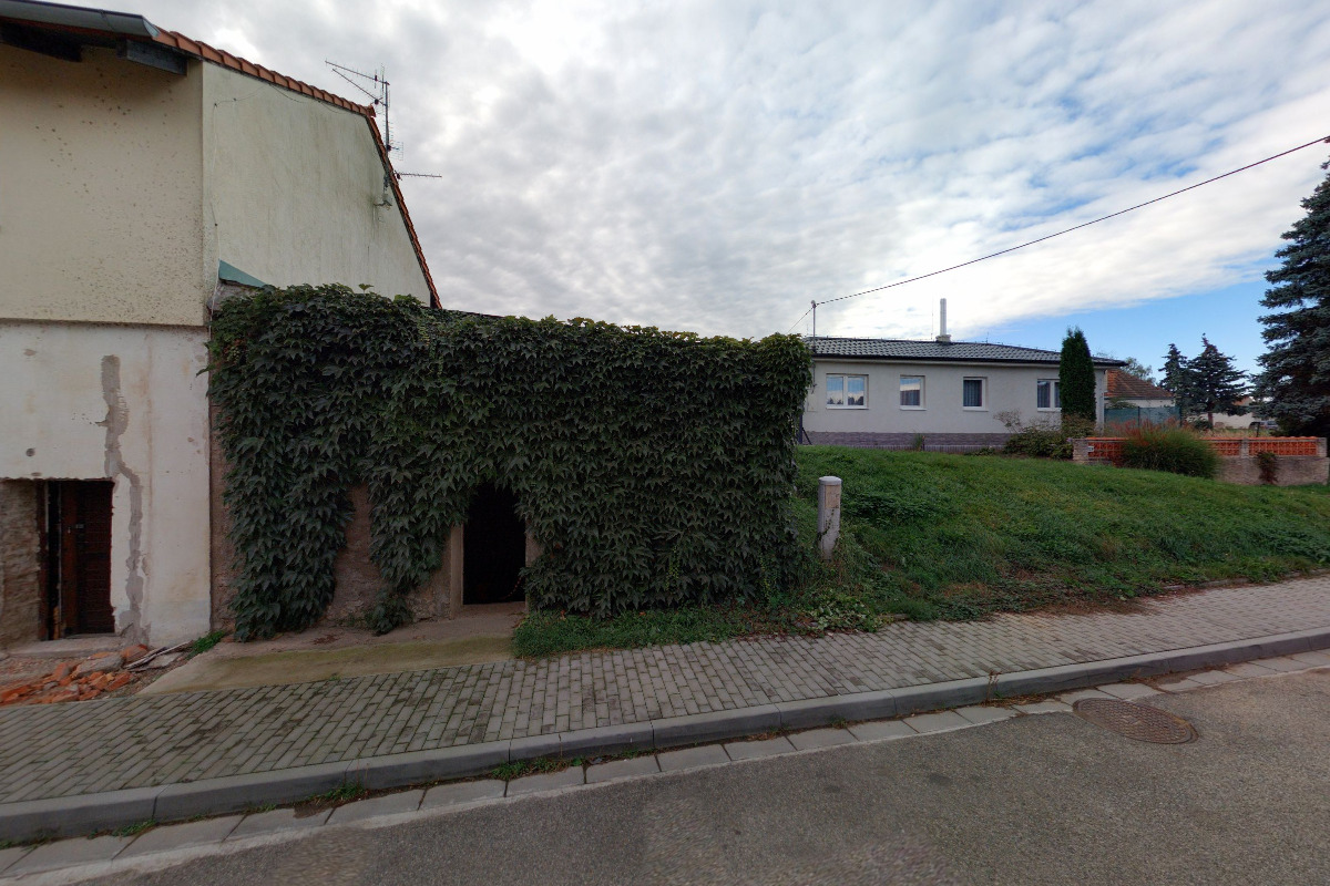 Zmrzlina u Dyje foto 1