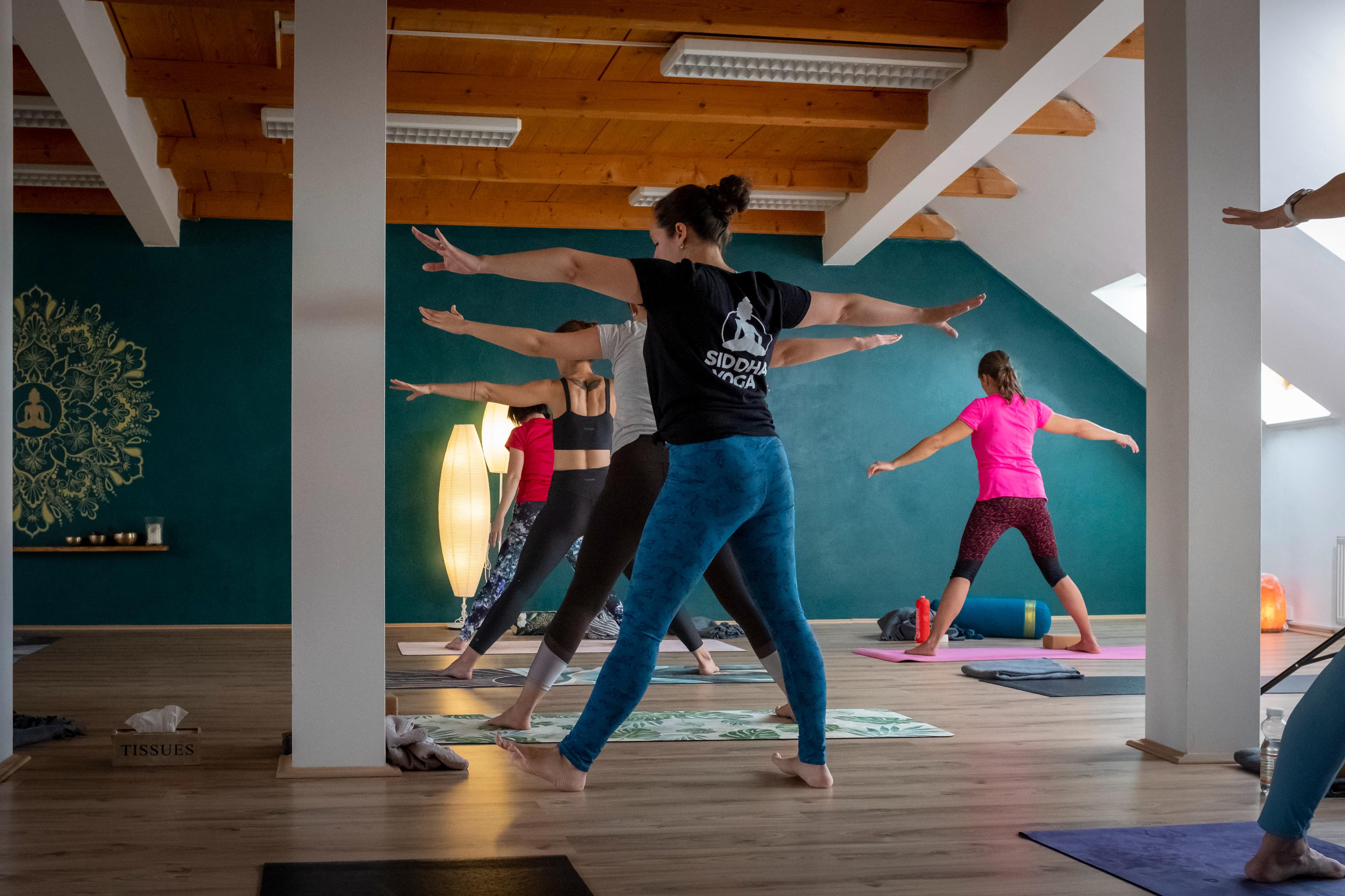 Siddha Yoga foto 6