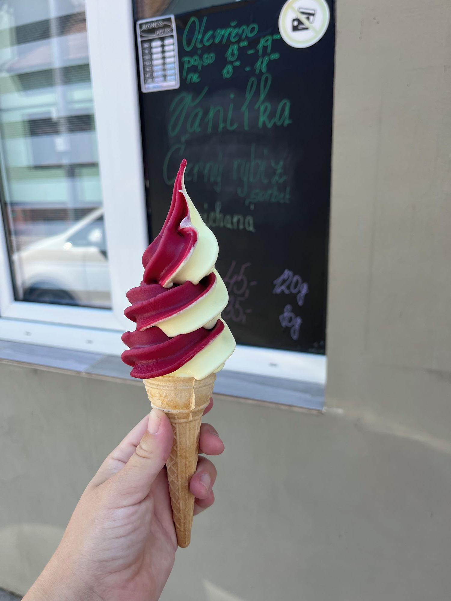 Zmrzlina u Dyje foto 2