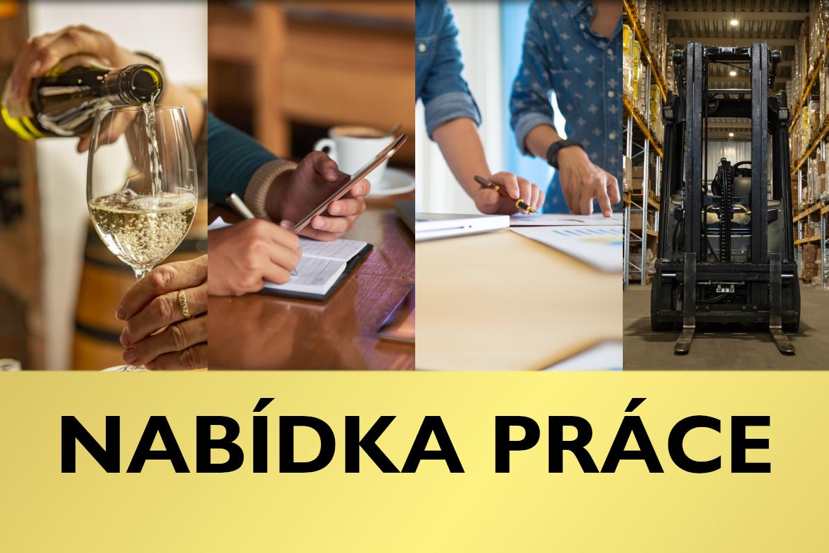 Volná pracovní místa ve Valticích