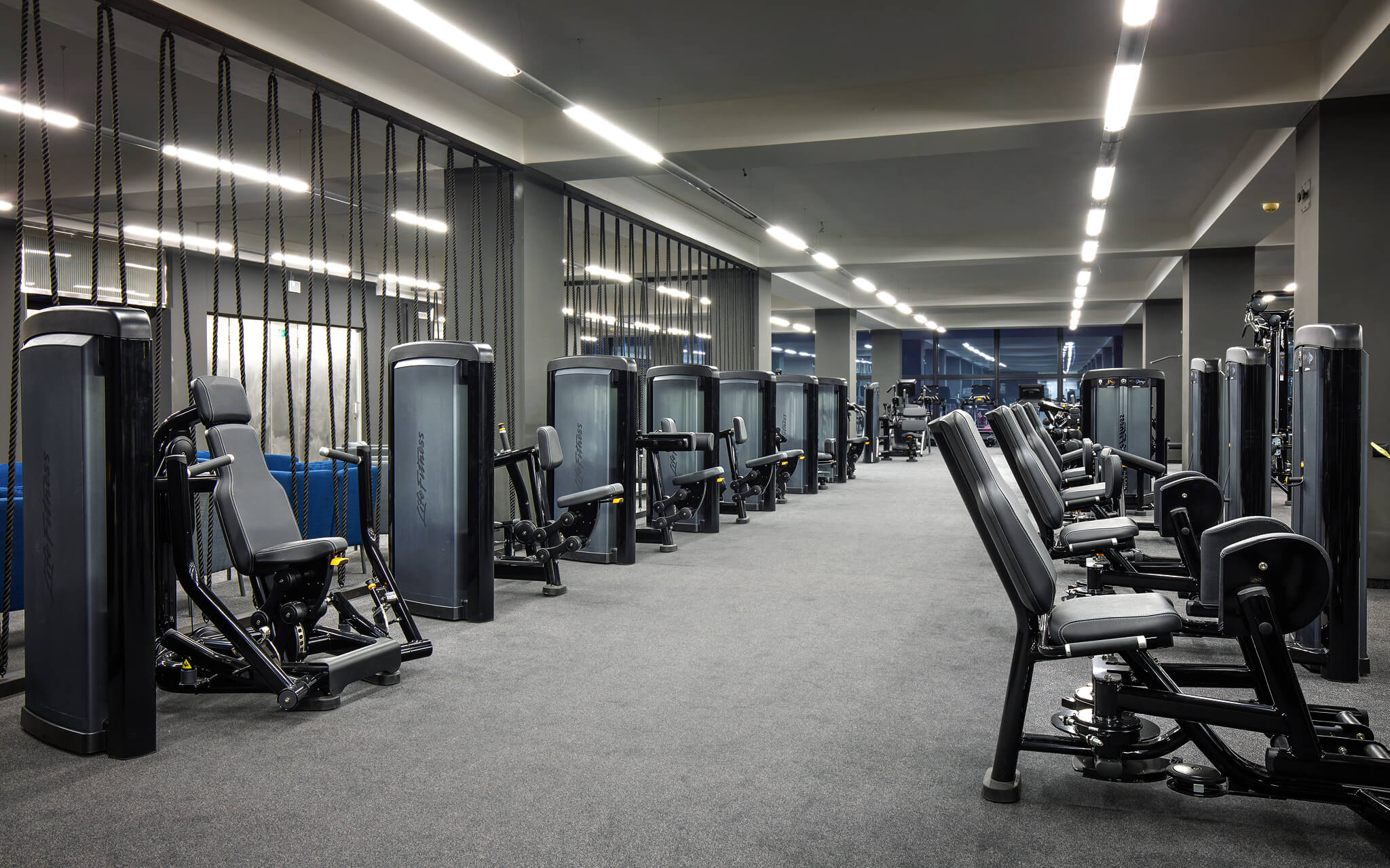 Max Fitness Bílá Labuť foto 5