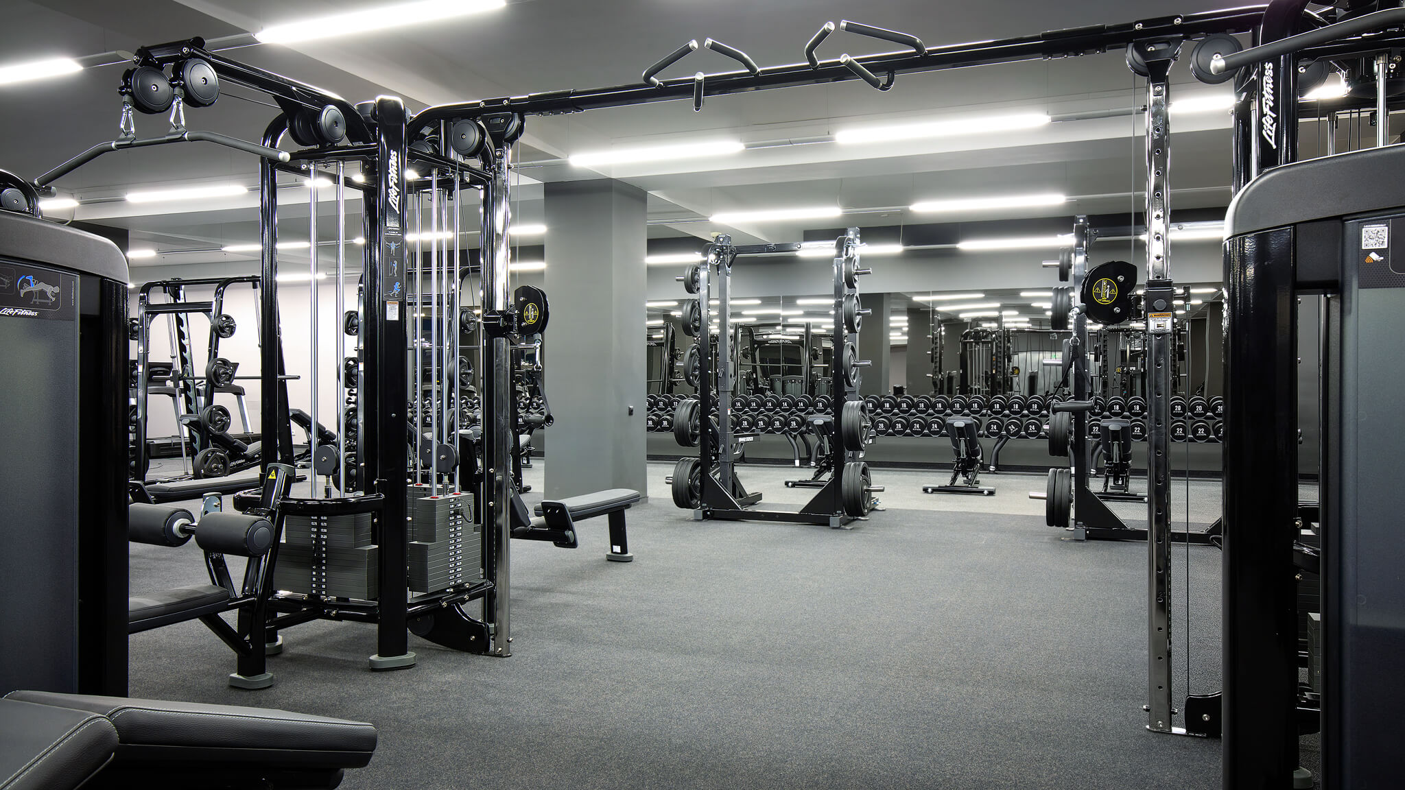 Max Fitness Bílá Labuť foto 2