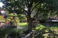 Fotografie CEDRUS