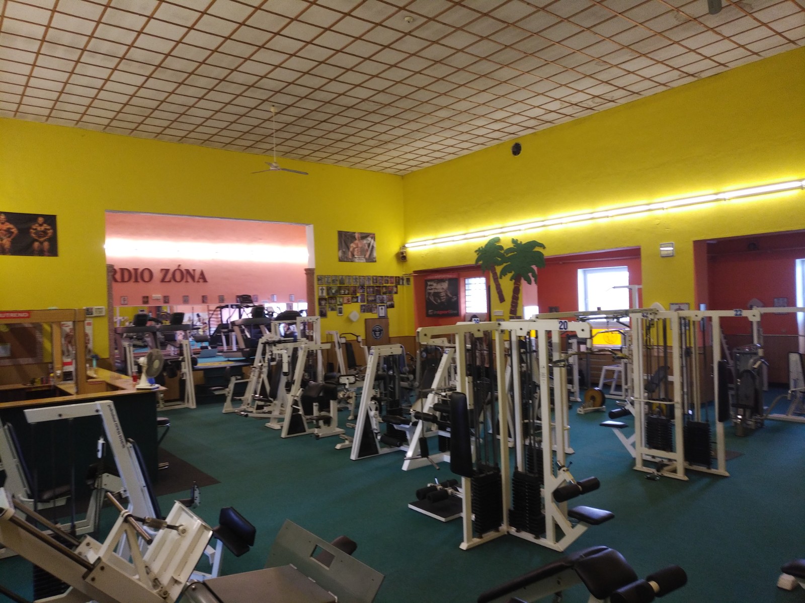 BAVARIA Fitness foto 4