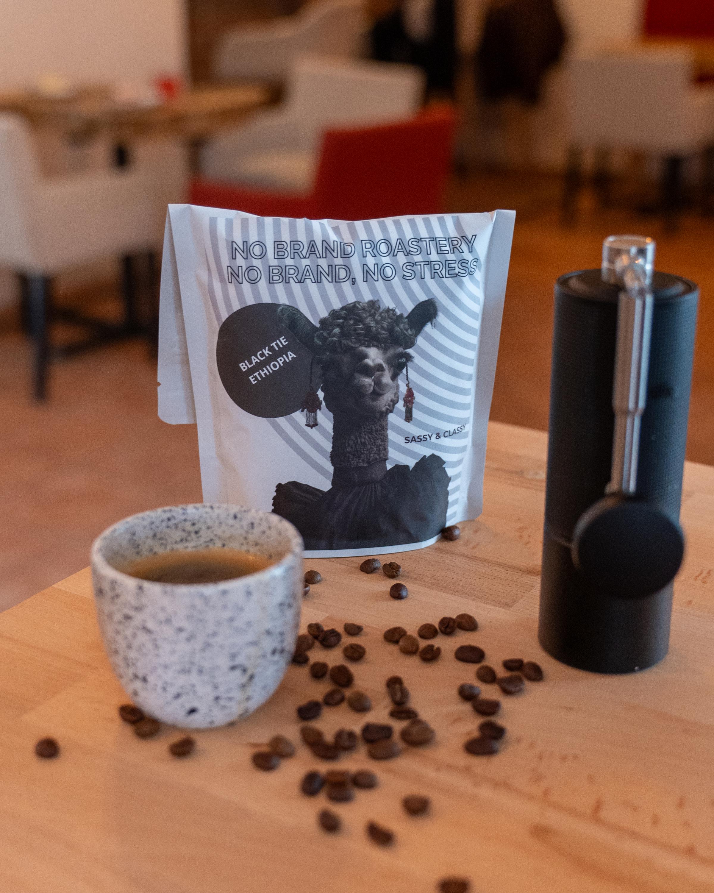 Sova na Větvi foto 4