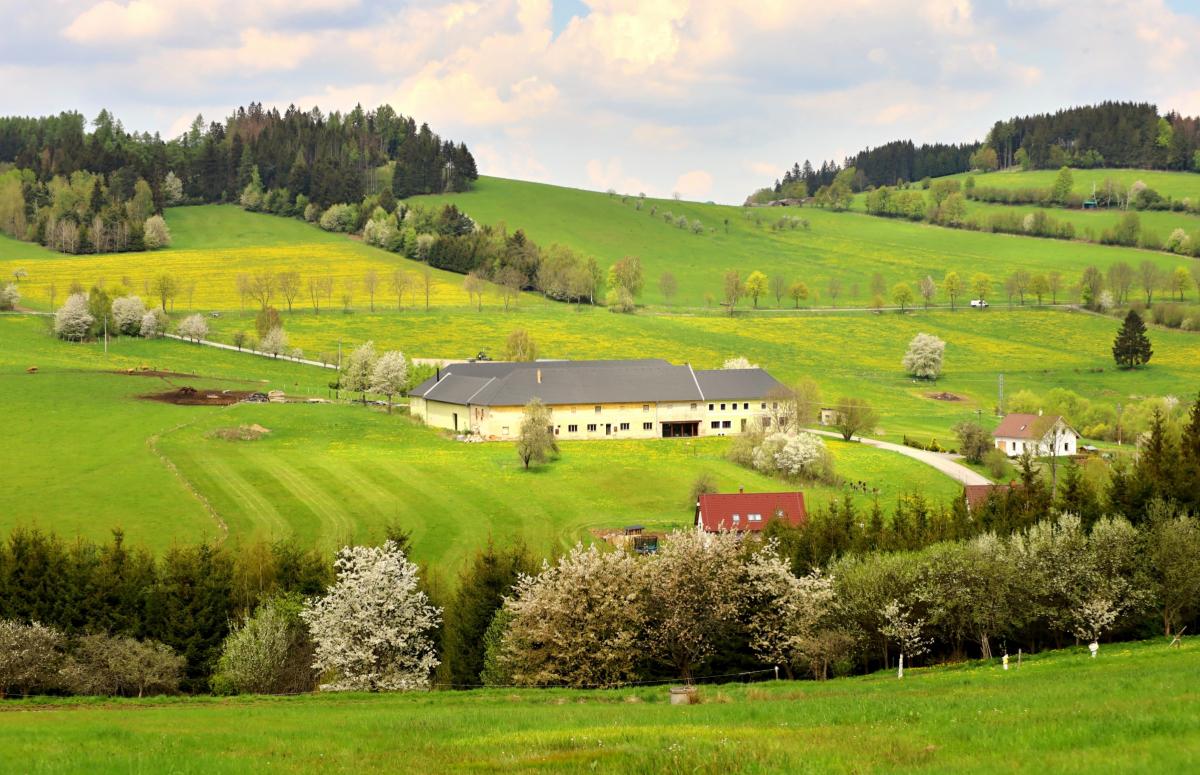 Rodinný penzion Jimramovské Pavlovice foto 2