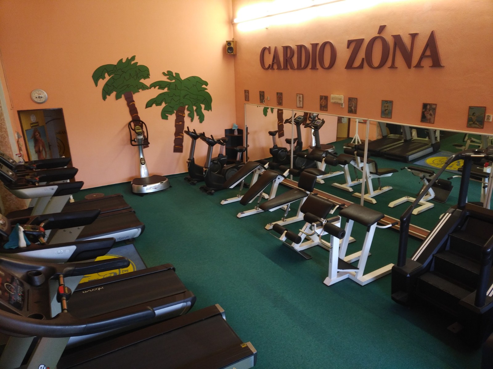 BAVARIA Fitness foto 5