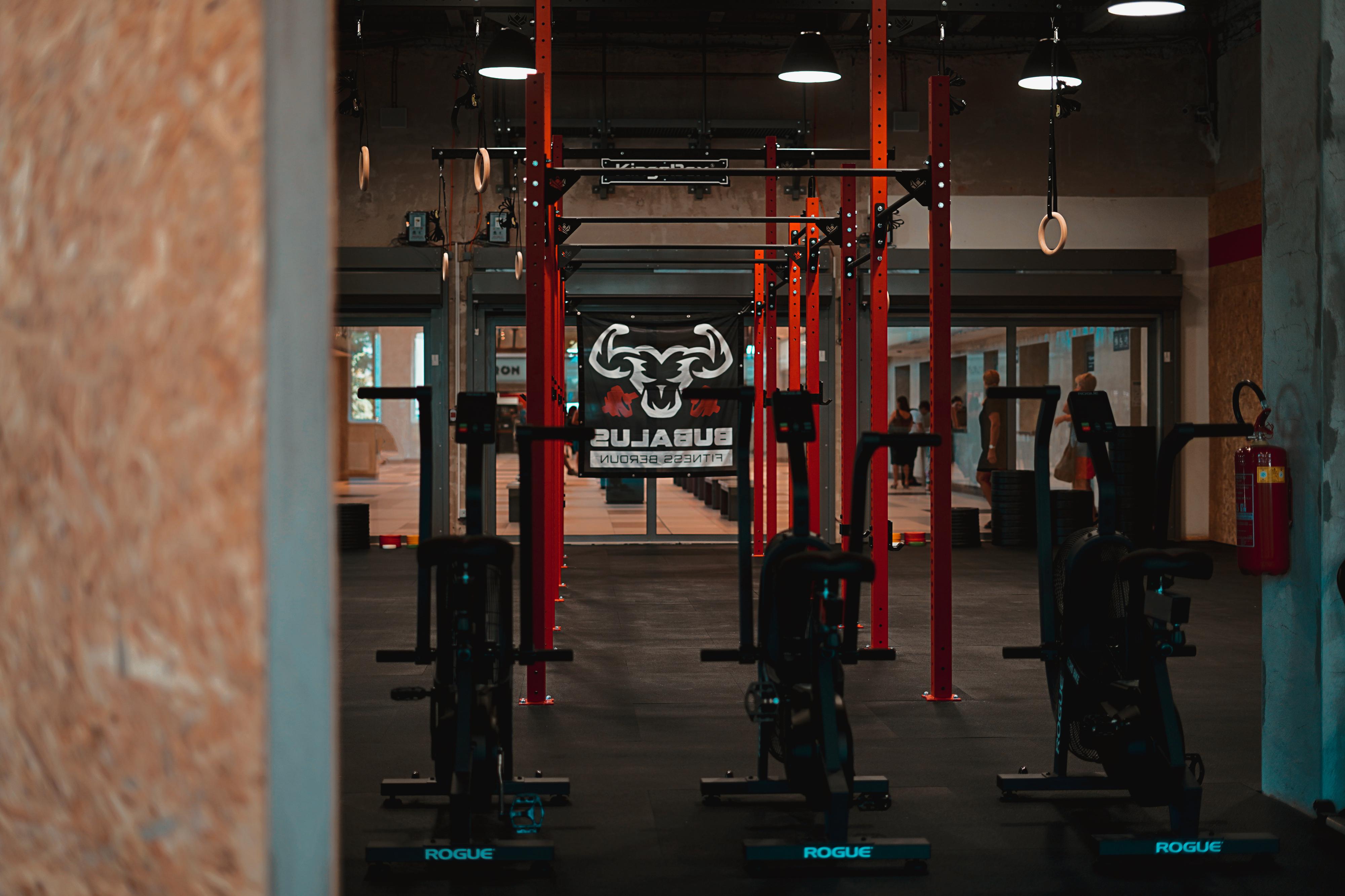 BUBALUS FITNESS BEROUN foto 2