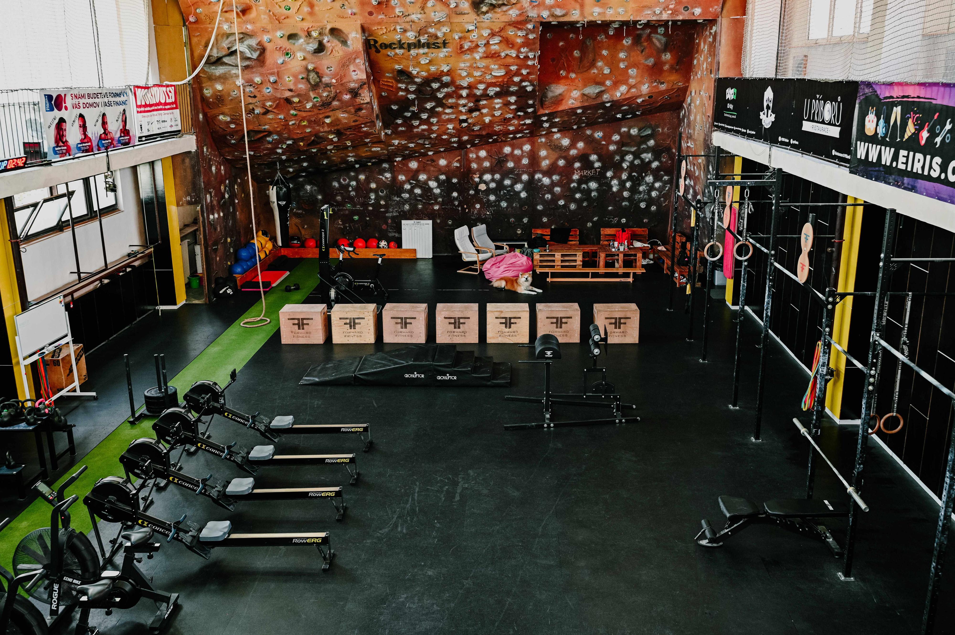 Focus Gym