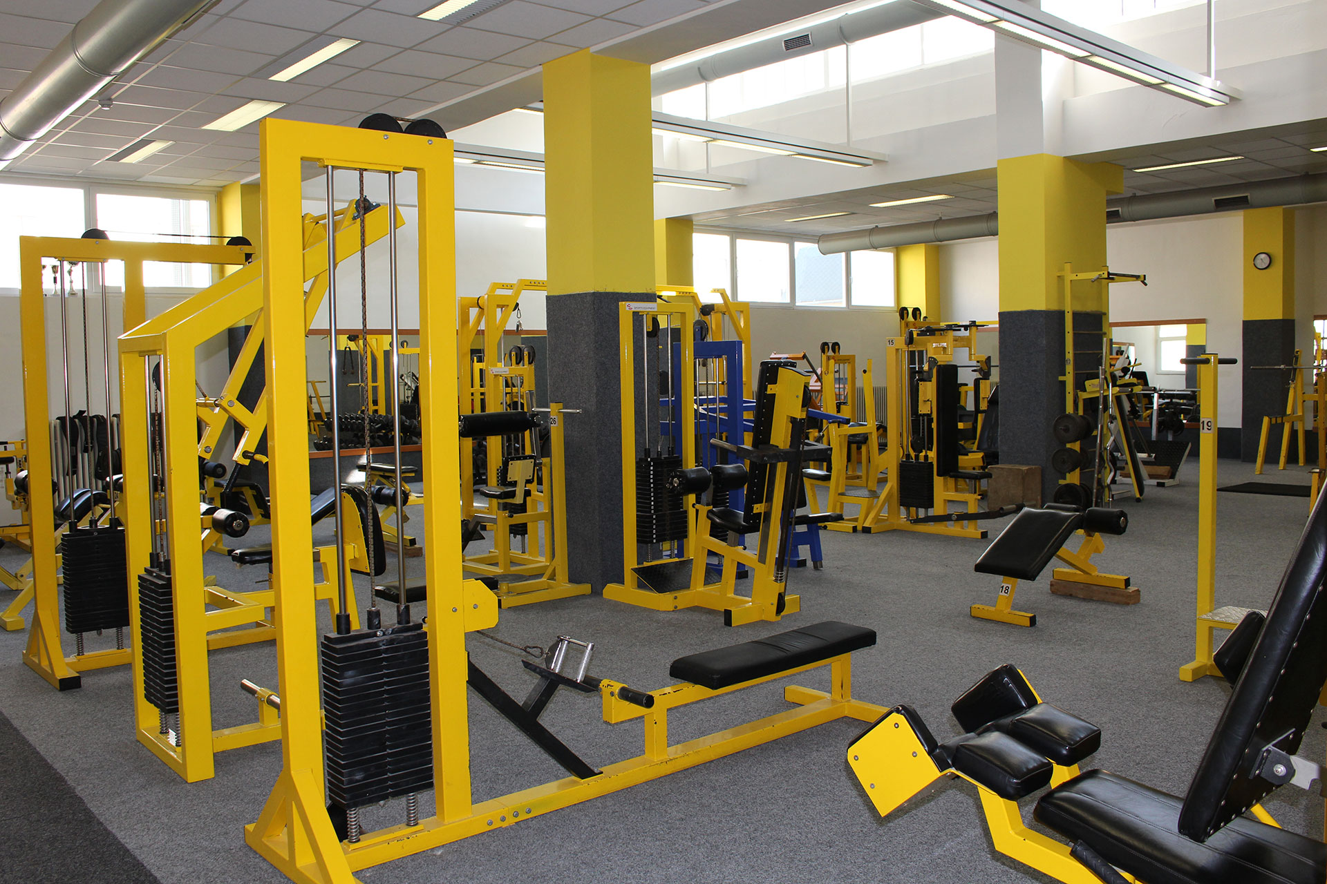 CALLISTO Fitness foto 2