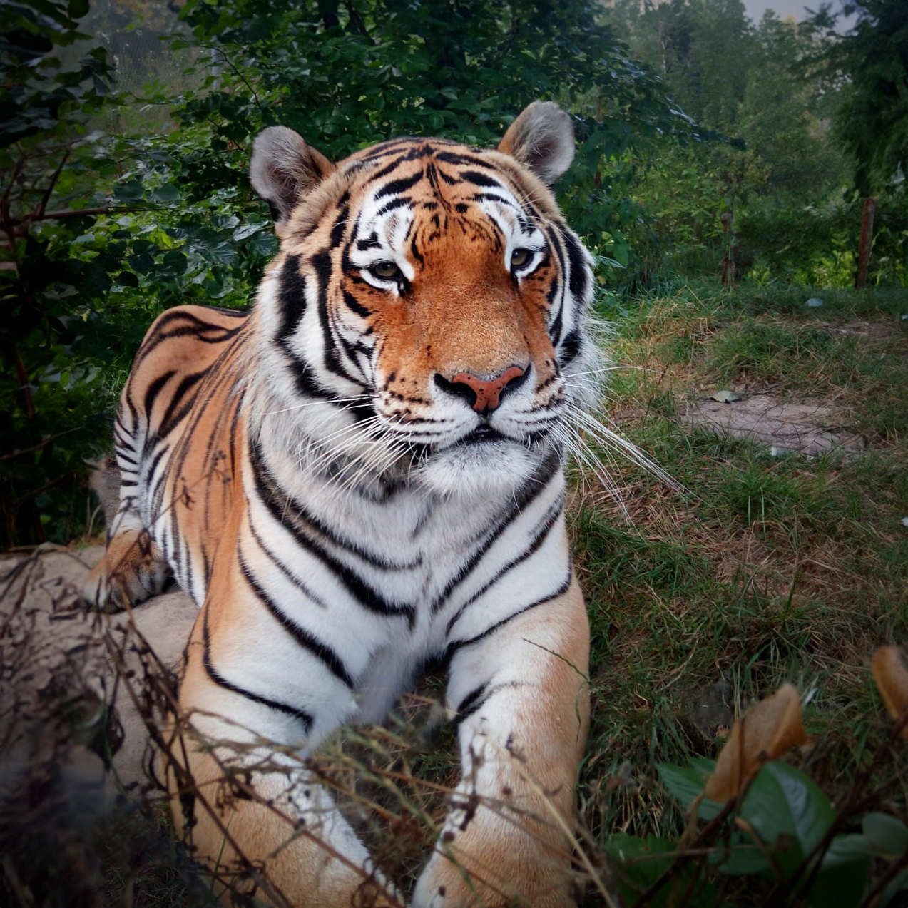 ZOO Tábor foto 4