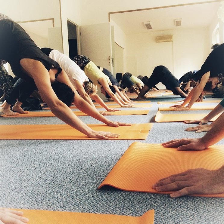 Yoga Shala Brno foto 6
