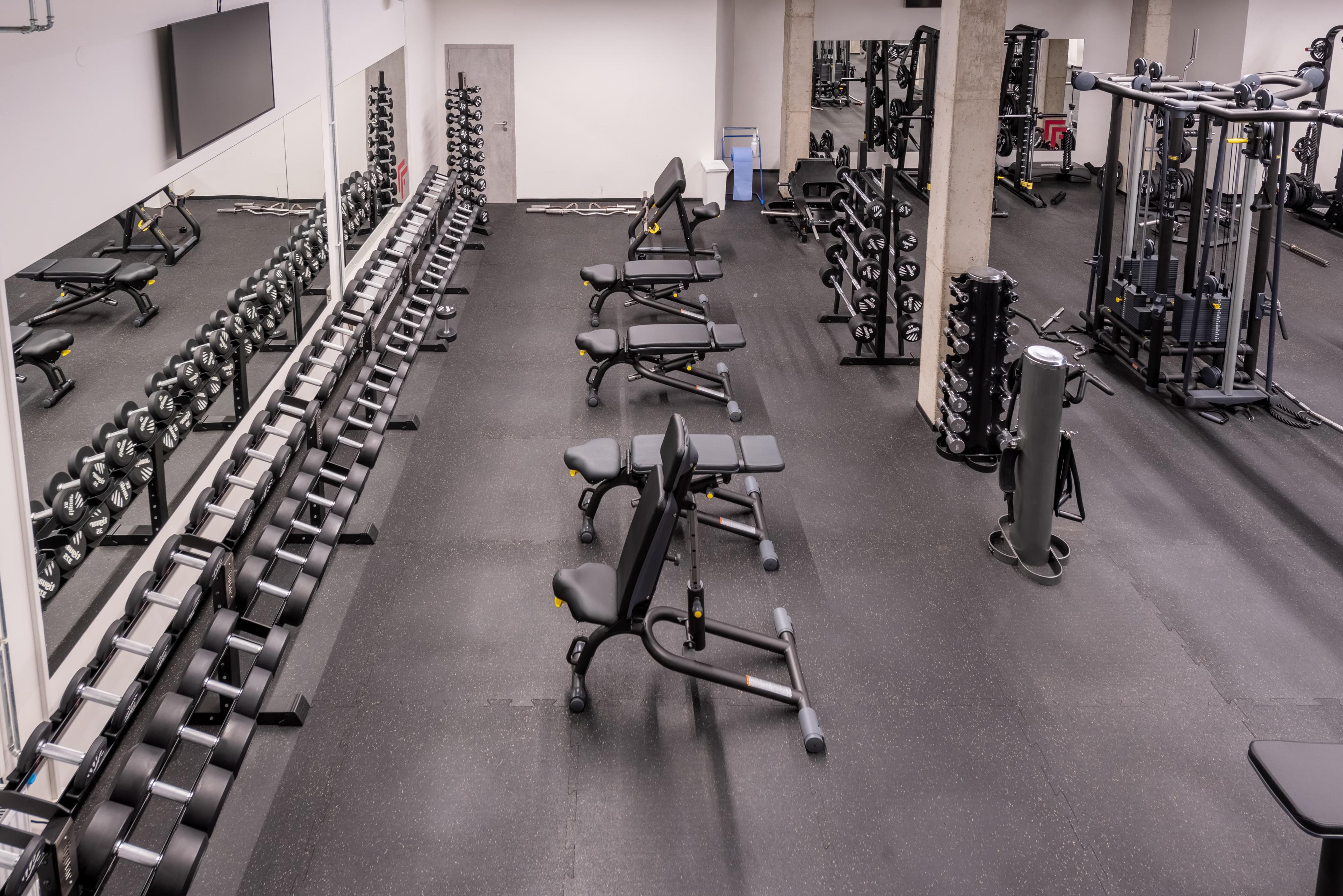 Form Factory I. P. Pavlova foto 3