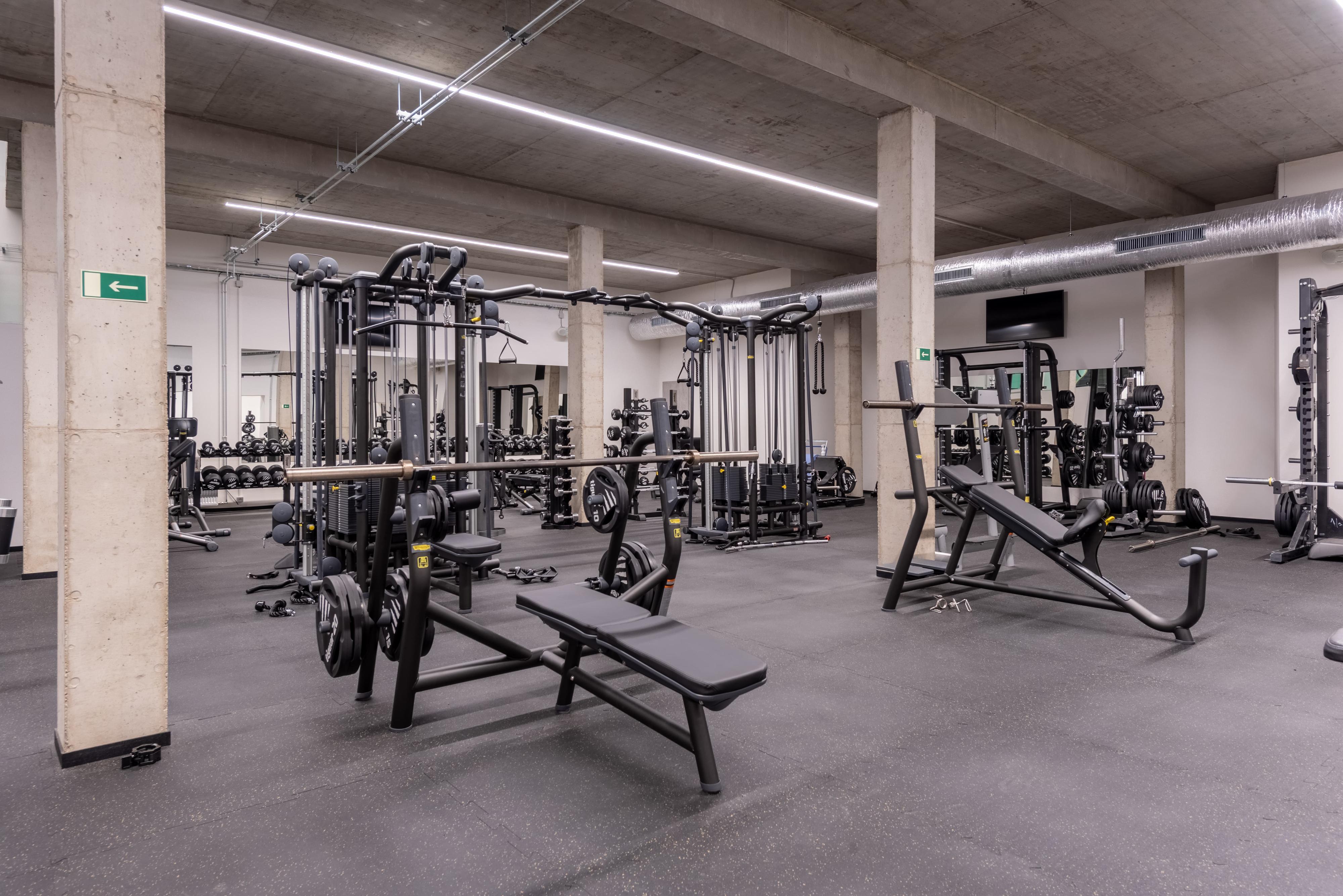 Form Factory I. P. Pavlova foto 5