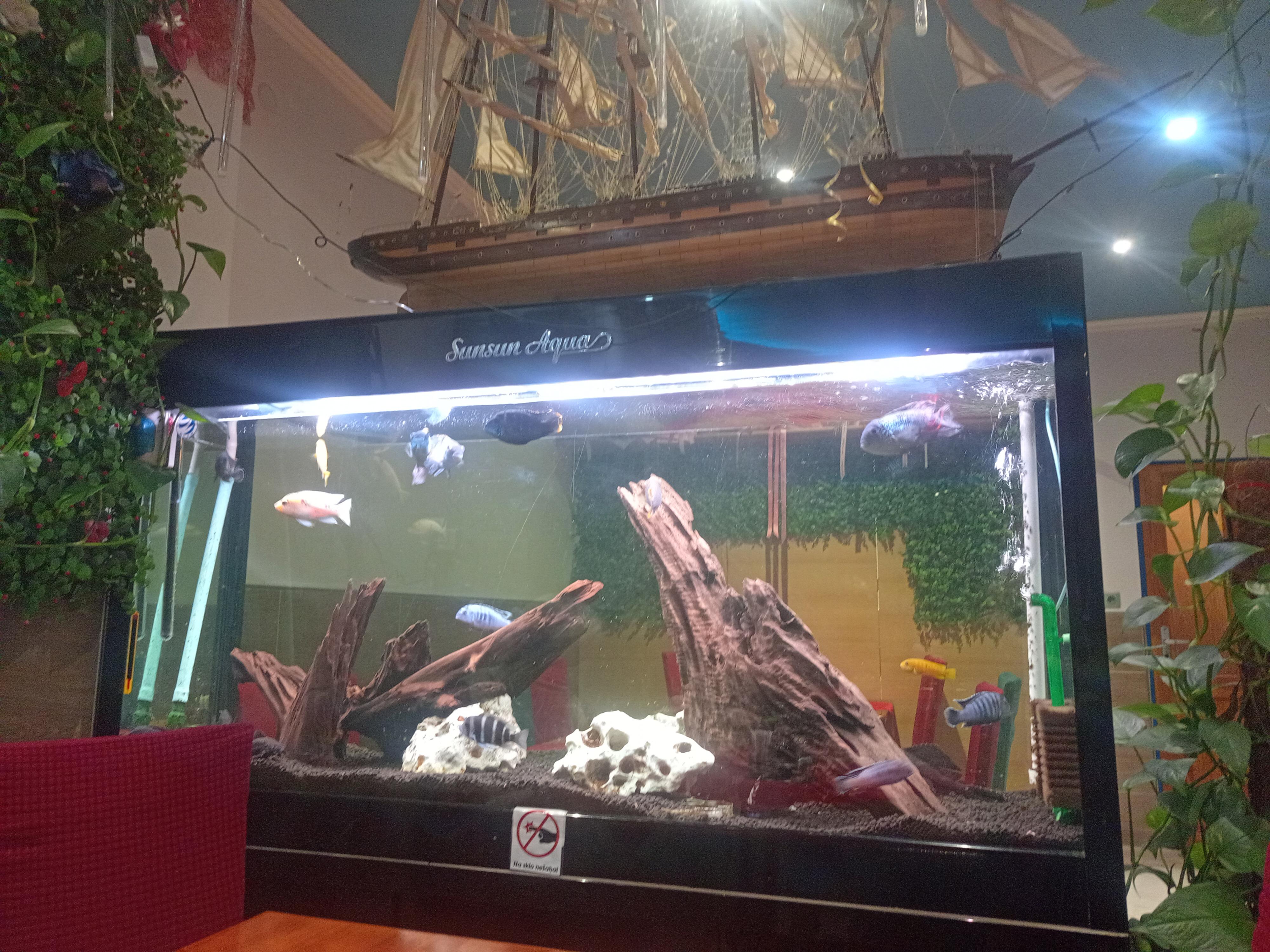 Restaurace Sea of Blue foto 2