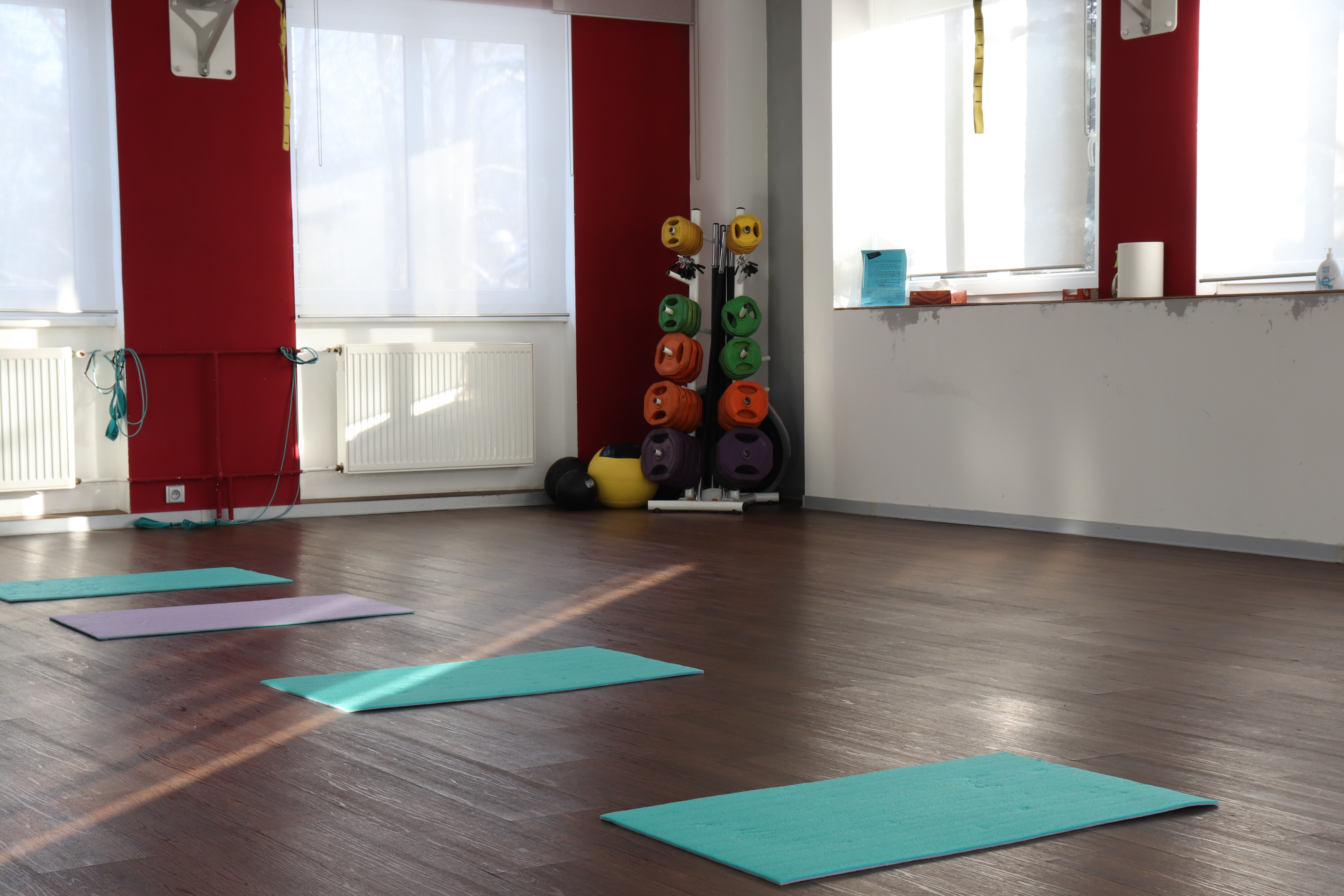 GoMango, s.r.o. foto 1