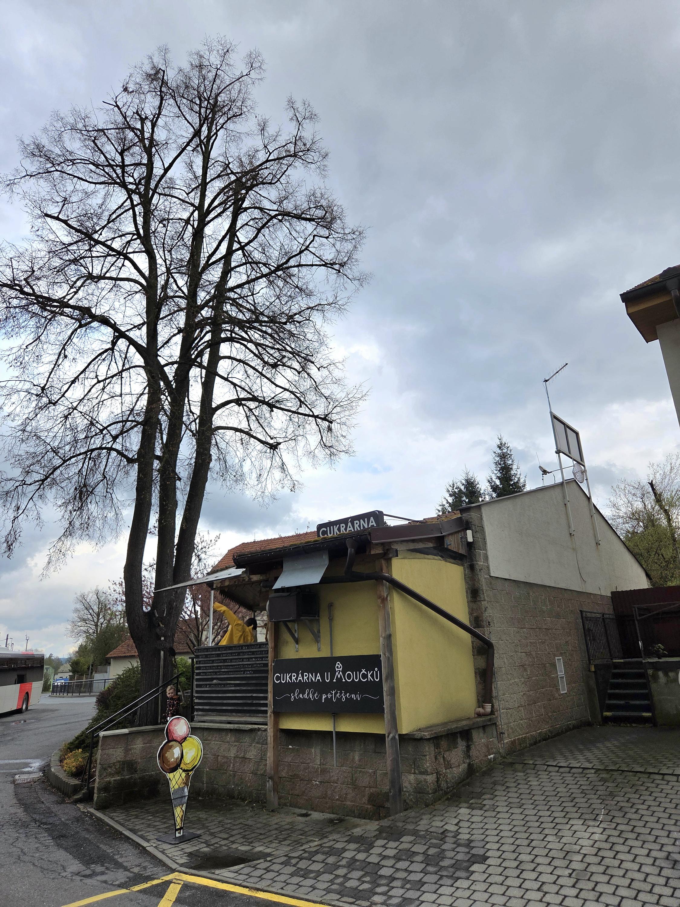 Cukrárna U Moučků foto 4