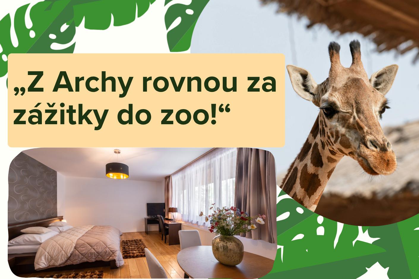 Ubytování , komentovaná prohlídka zoo a krmení