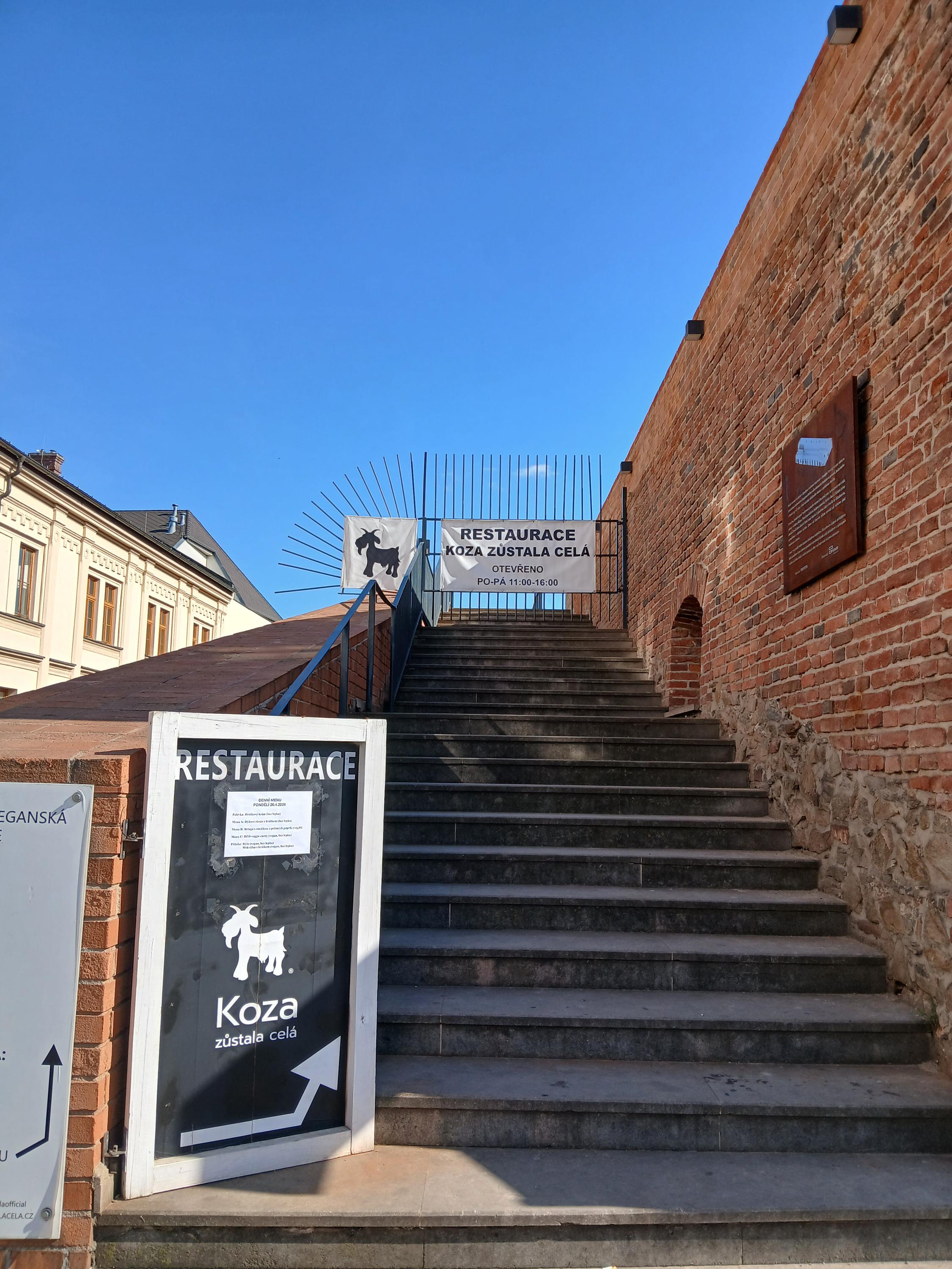 Koza zůstala celá foto 6