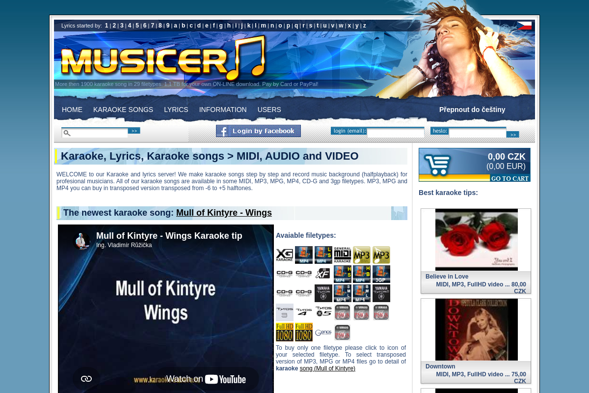 Musicer.net