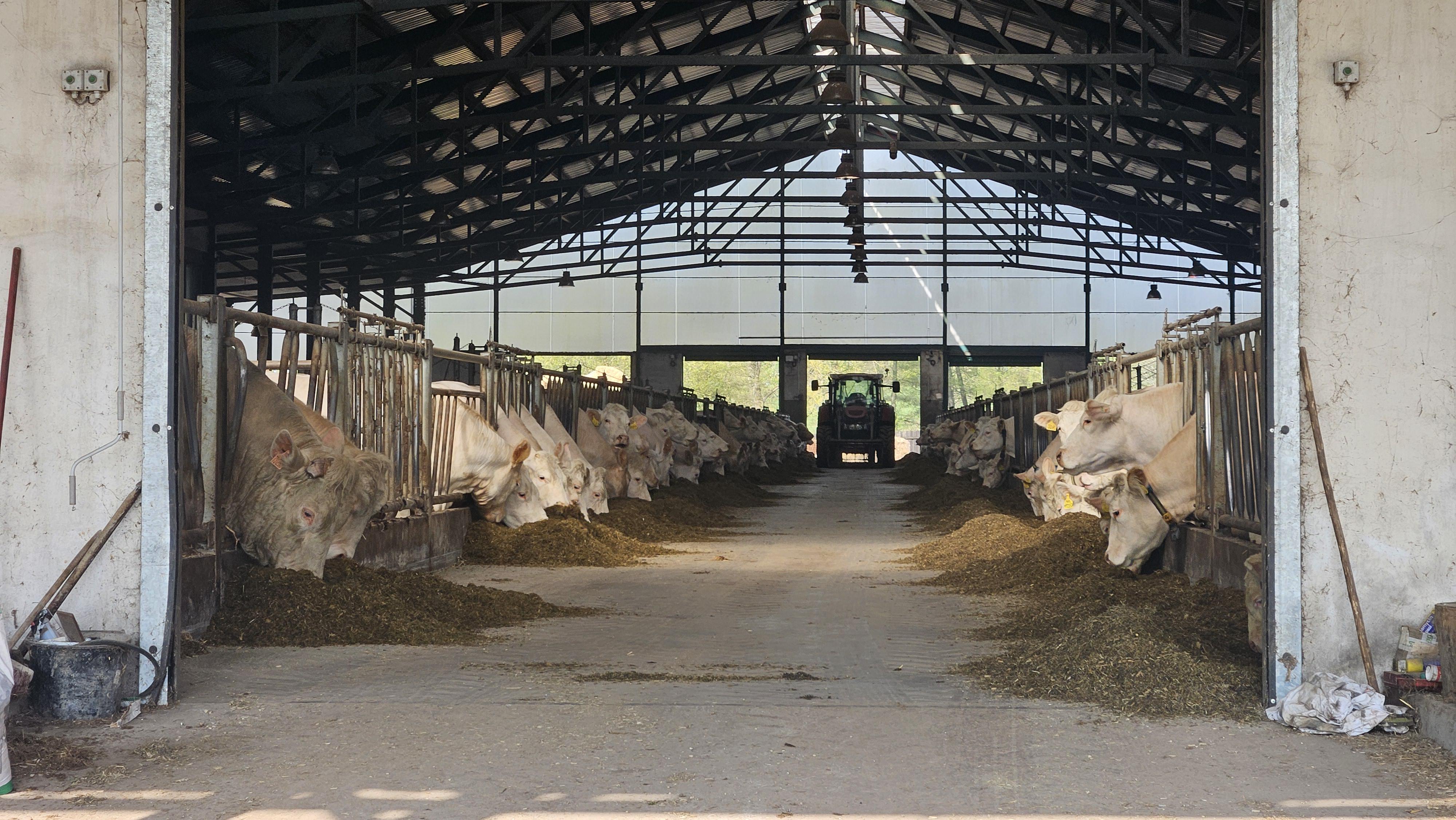 Farma Nová Amerika foto 3
