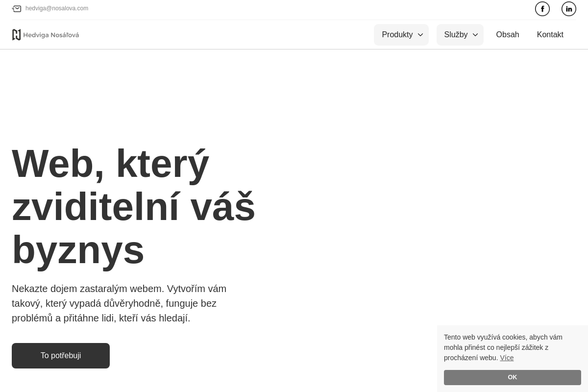 Hedviga Nosáľová -  Tvorba webů