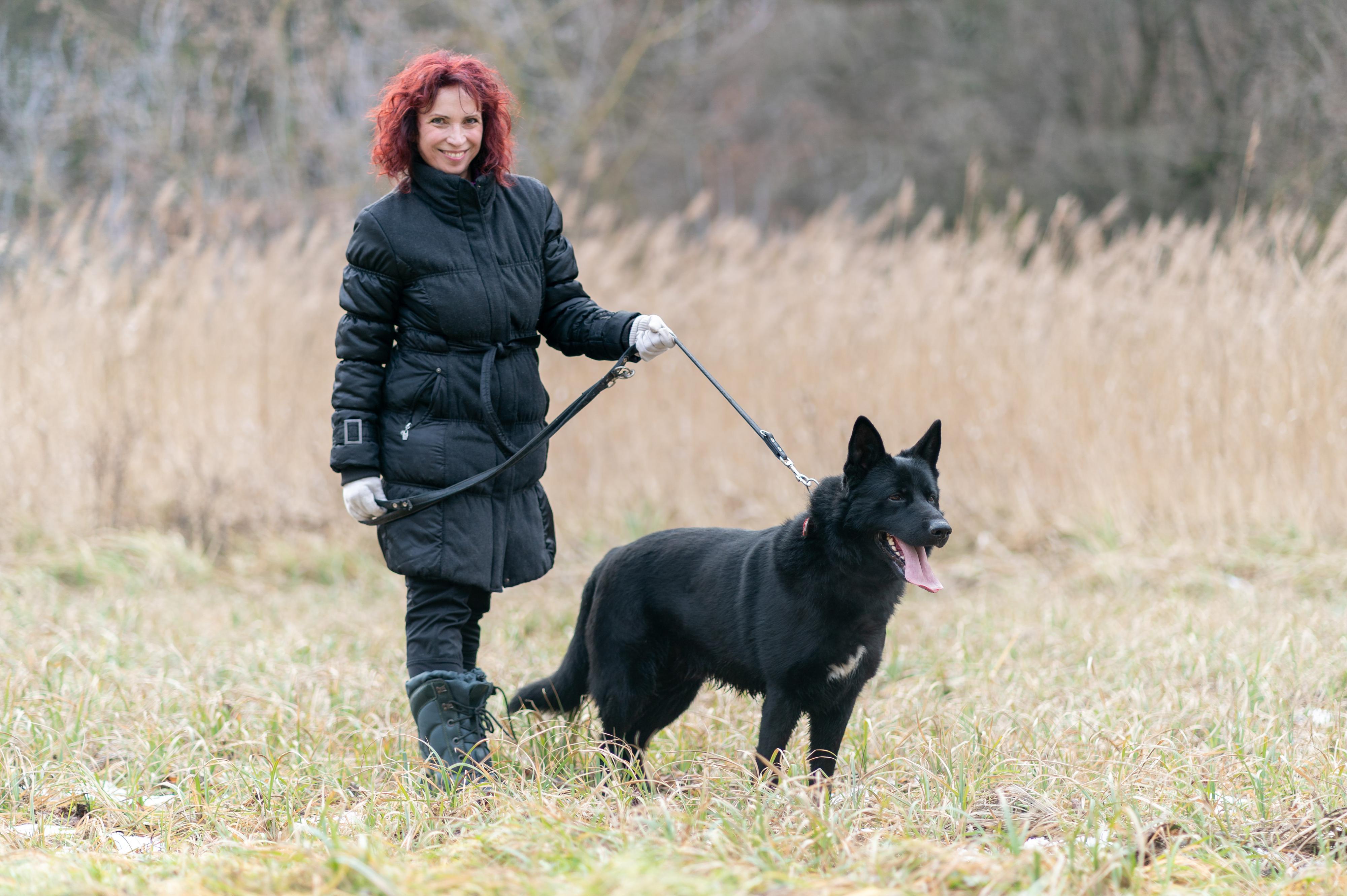 Útulek pro opuštěná zvířata v Bulharech