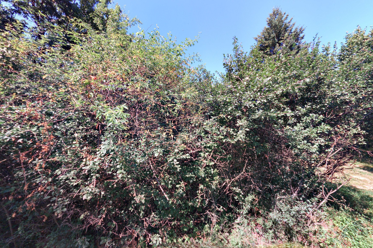 Občerstvení na Višňovce foto 1