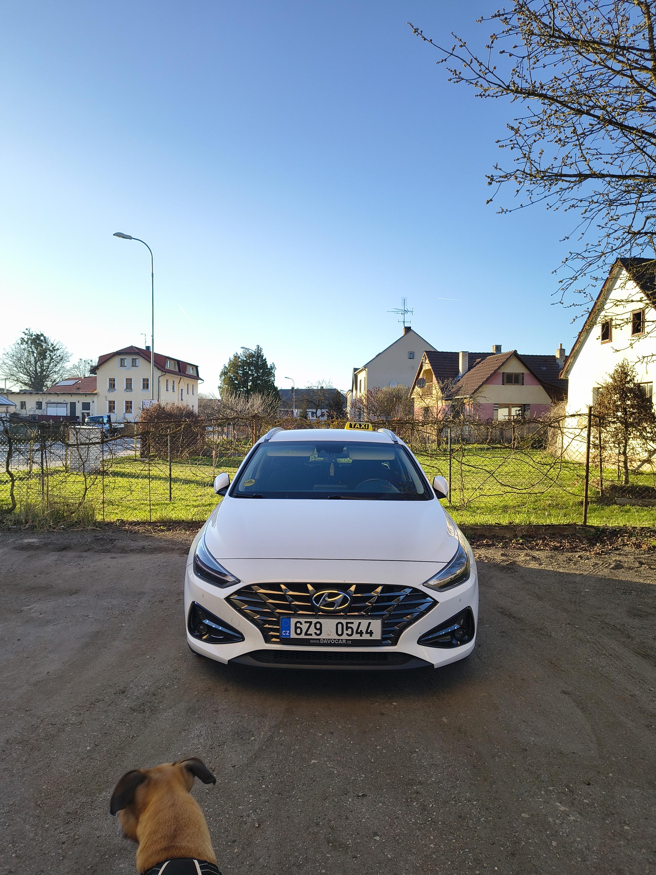 TAXI DAČICE - Nicolas Loos foto 3