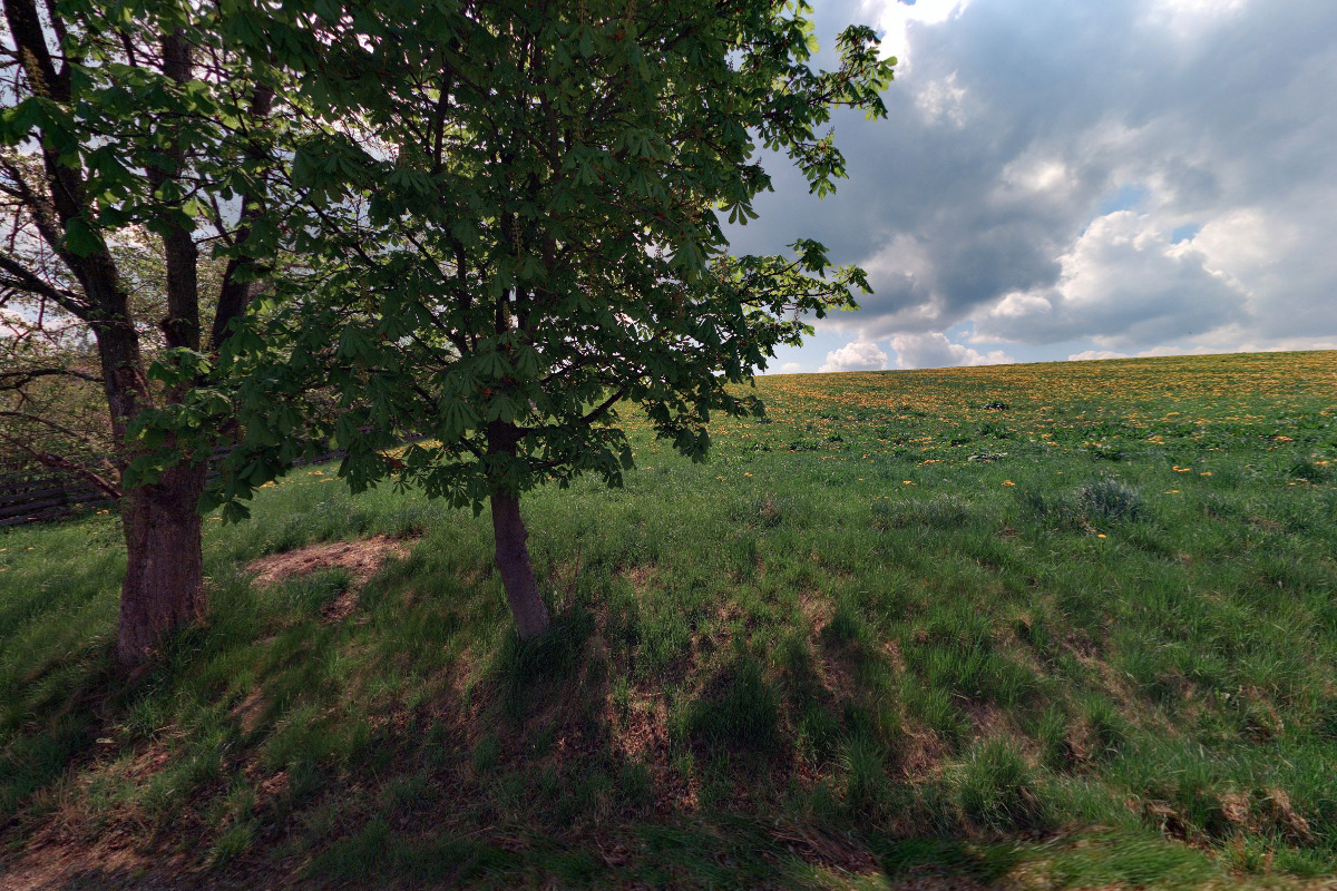 Jiří Čermoch - SELPO