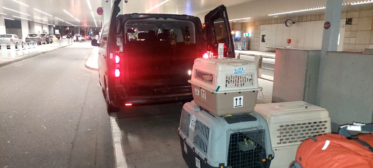 PRG Airport Transfers foto 3