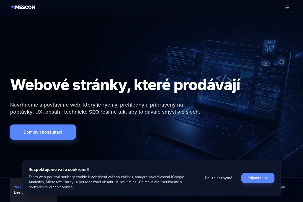 Ludvík Remešek - IT poradce