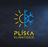logo Vlastimil Plíska