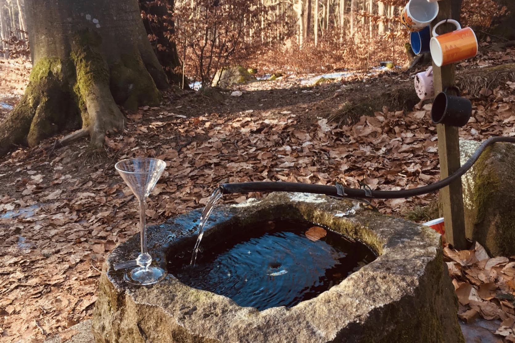 Sleva 25% ze vstupní konzultace autopatie - online