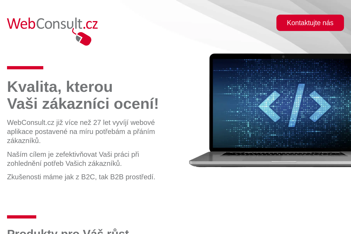WebConsult.cz